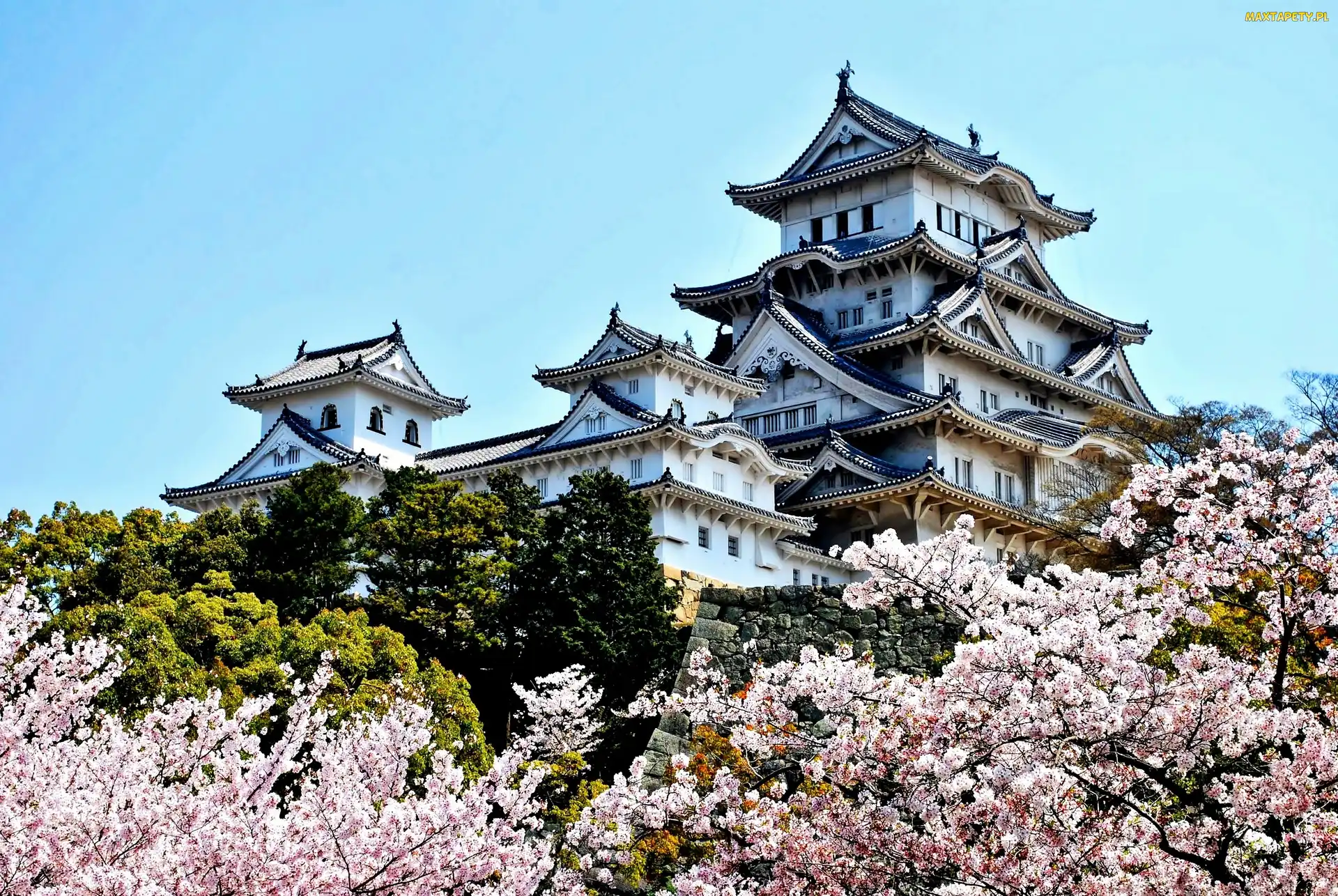 Drzewa, Kwitnące, Zamek Białej Czapli, Zamek Himeji, Miejscowość Himeji, Japonia
