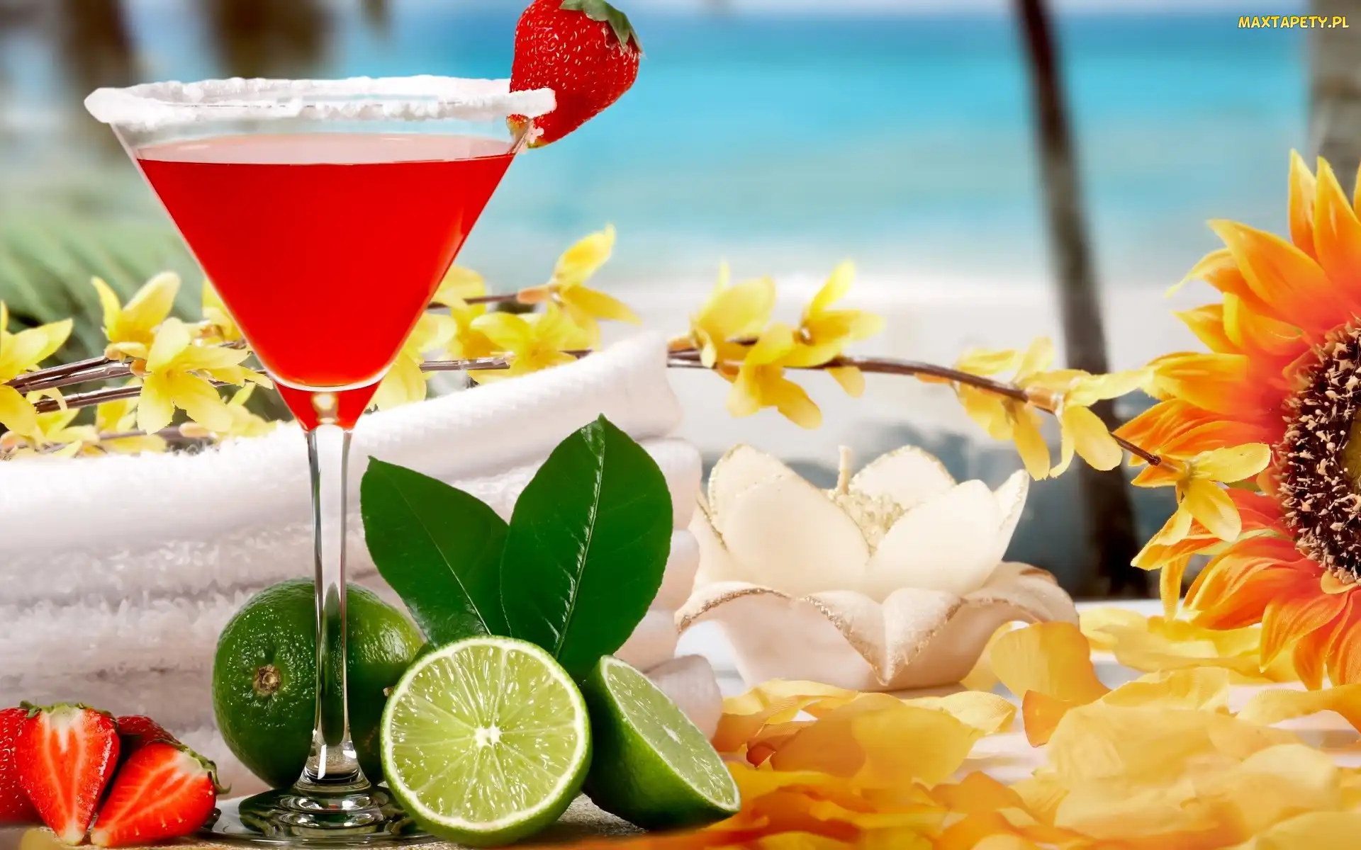 Lato, Morze, Tropical Cocktail, Drink, Owoce, Kwiaty