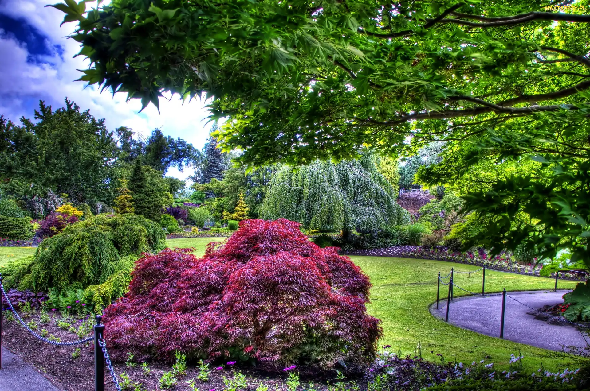 Park, Vancouver, Burchard