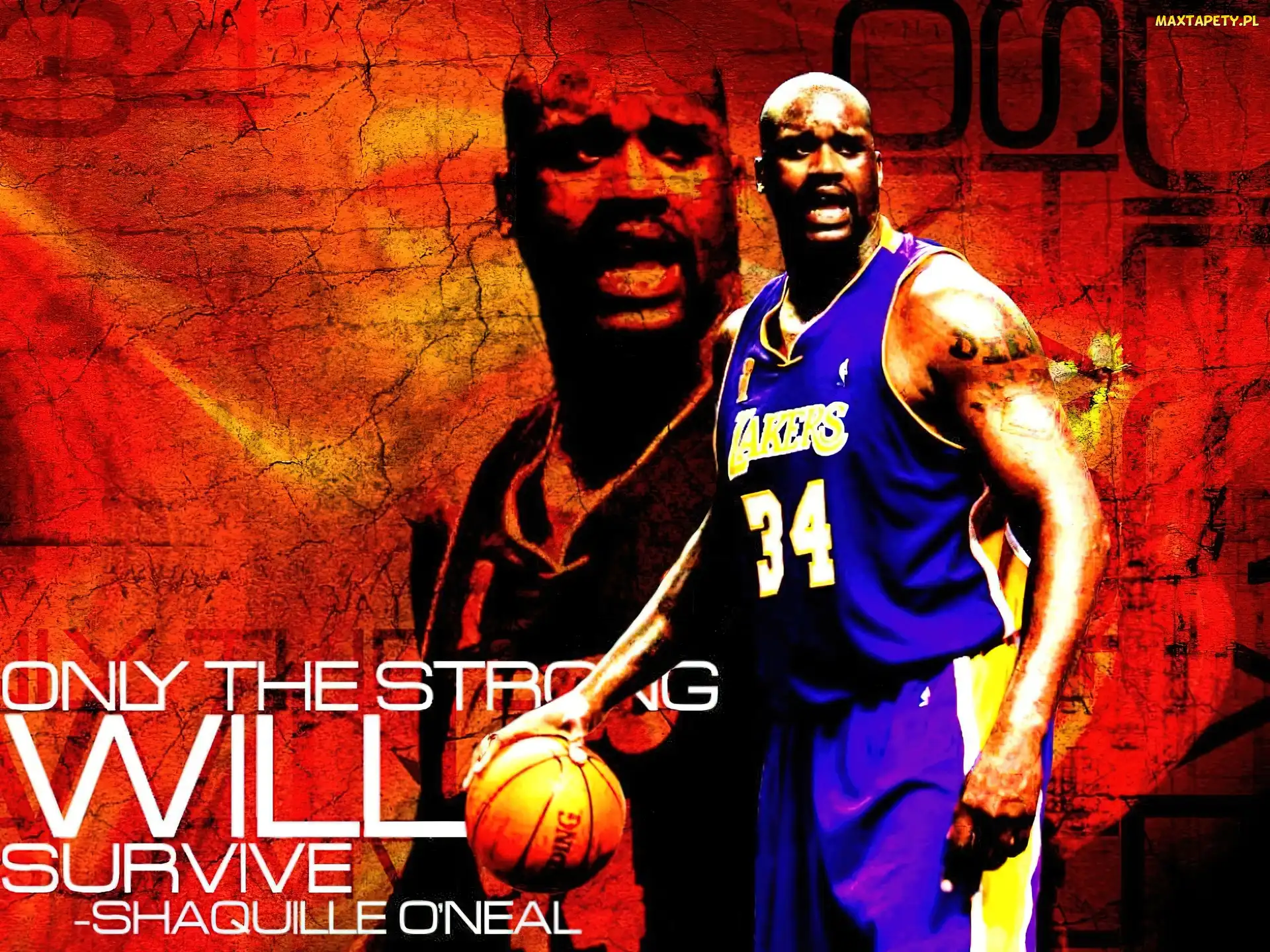 Koszykówka, ShaQuille O