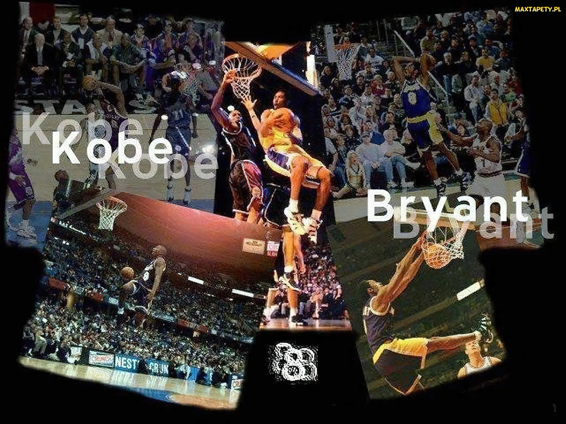koszykarz , Koby Bryant, Koszykówka