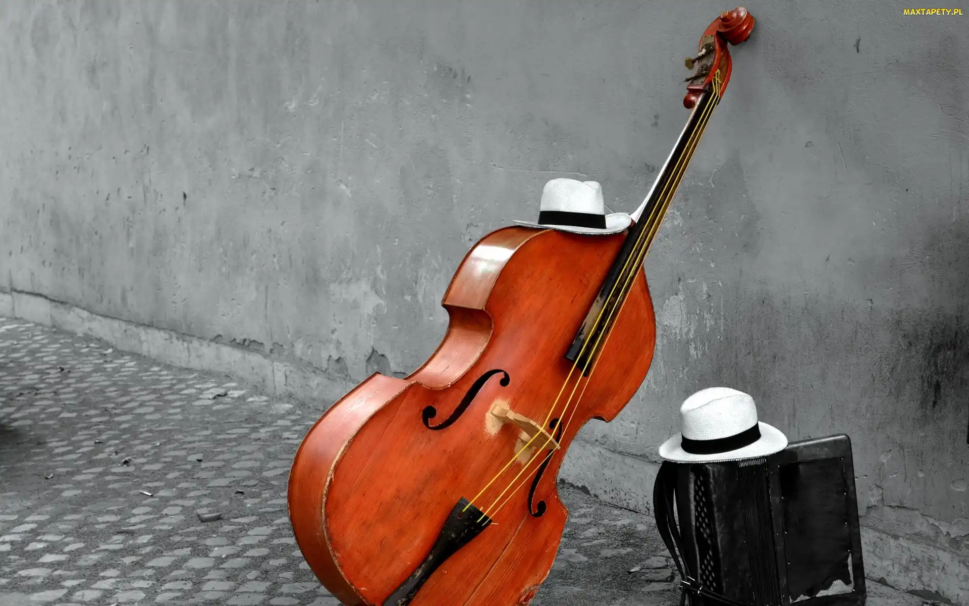 Instrument, Bruk, Akordeon, Kapelusze, Kontrabas