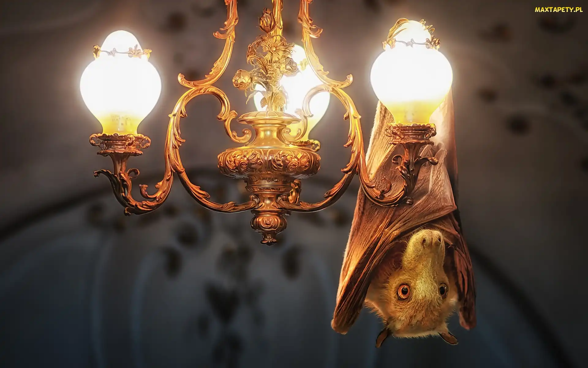Lampa, Żyrandol, Nietoperz
