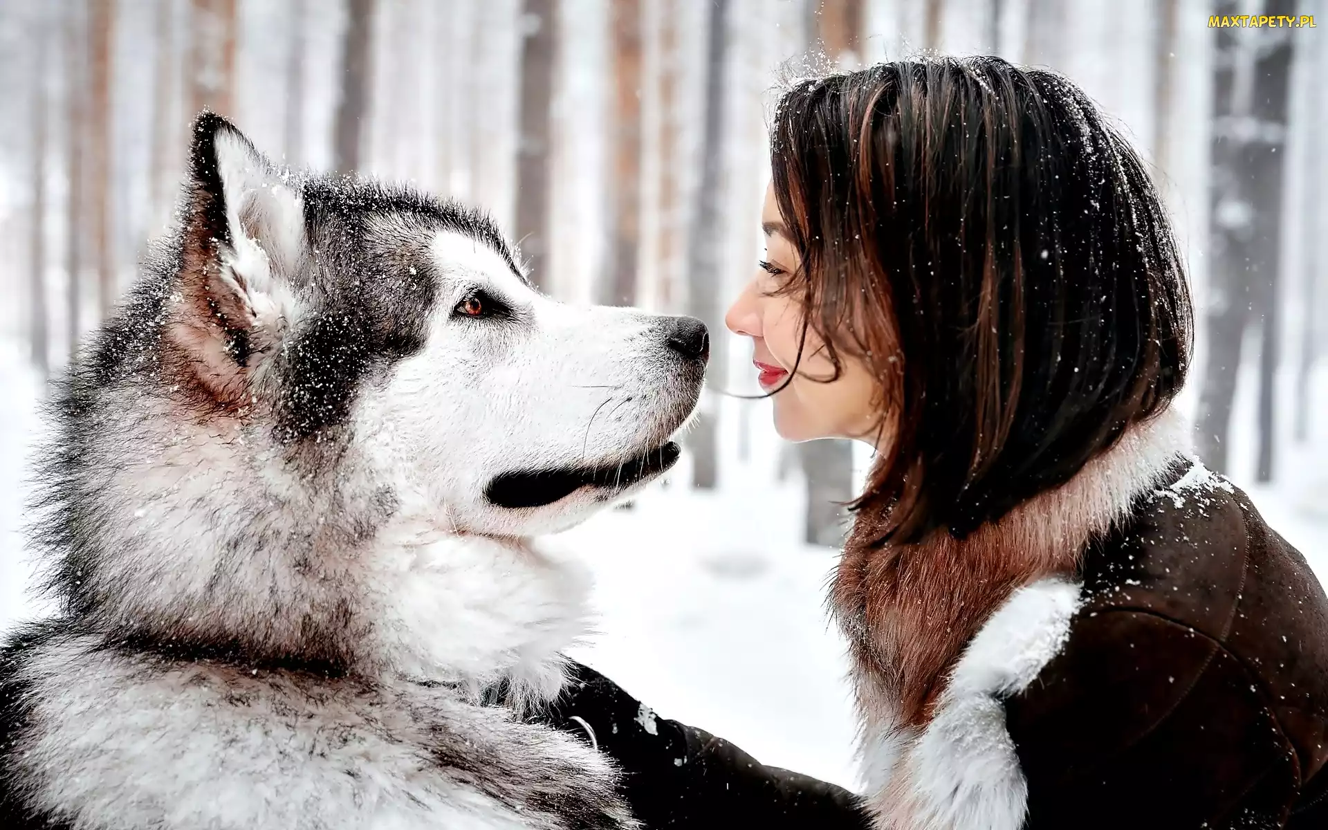 Śnieg, Kobieta, Pies, Husky