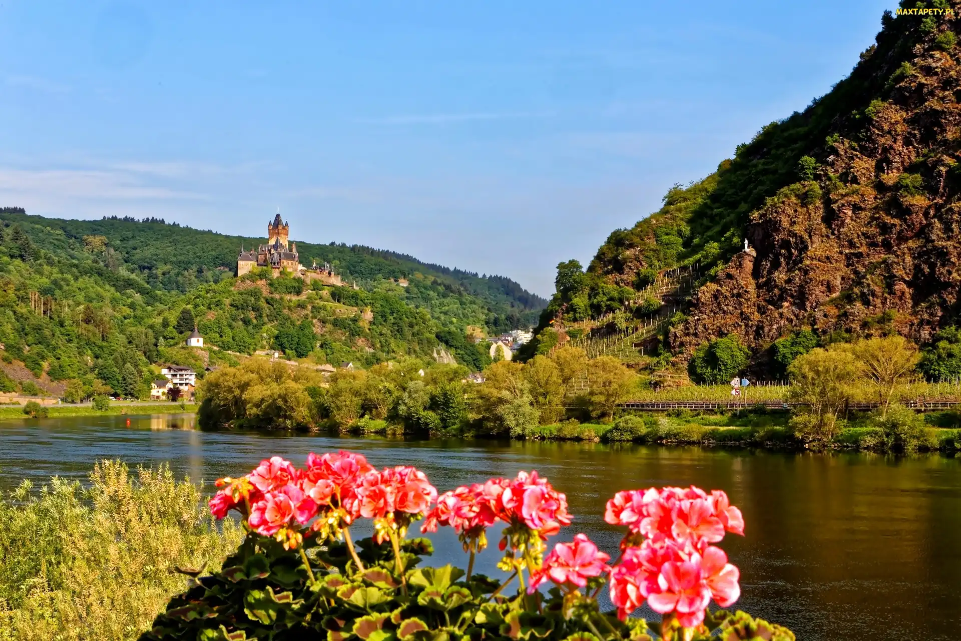 Lasy, Góry, Miasto Cochem, Pelargonie, Rzeka Mozela, Zamek Reichsburg, Niemcy