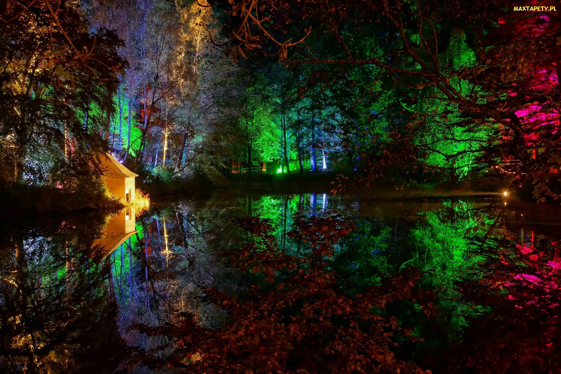 Park, Staw, Noc, Kolorowe, Światła, Altanka