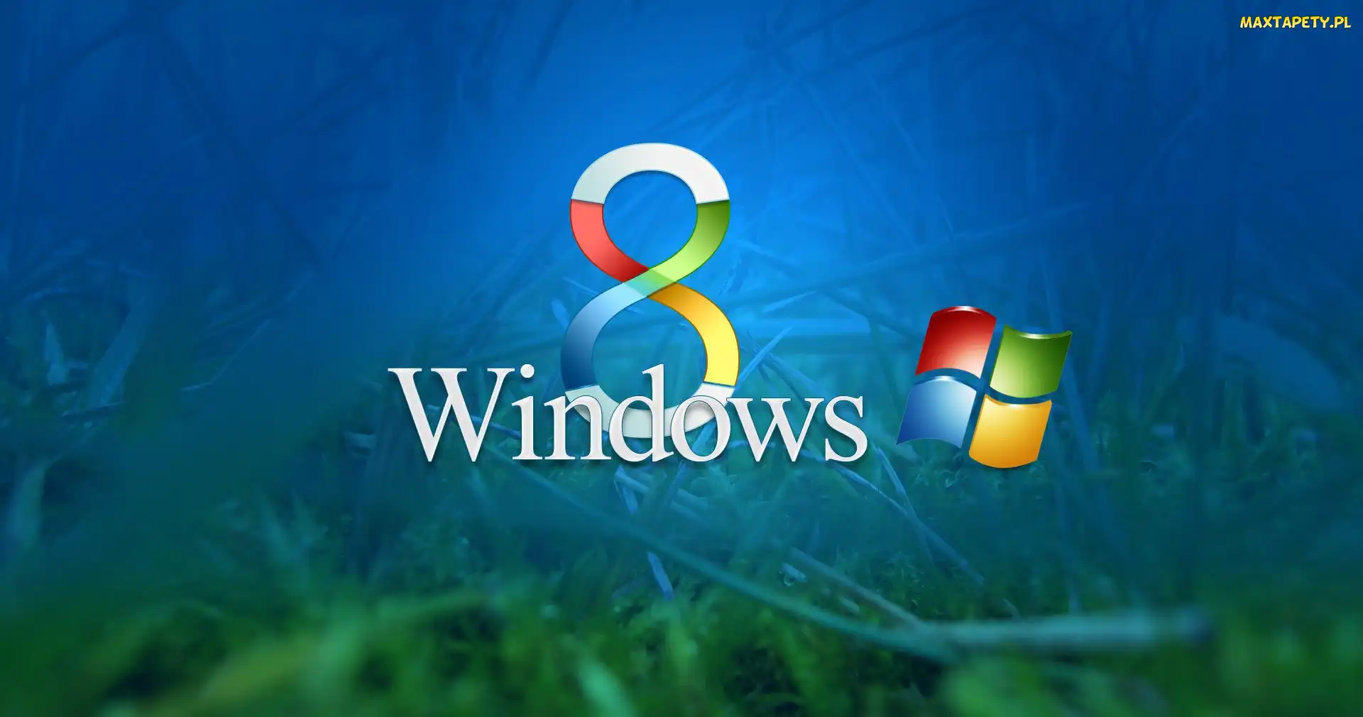 Windows, Eight