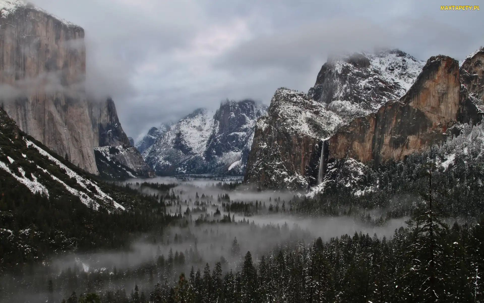 Chmury, Lasy, Stan Kalifornia, Mgła, Góry, Stany Zjednoczone, Park Narodowy Yosemite