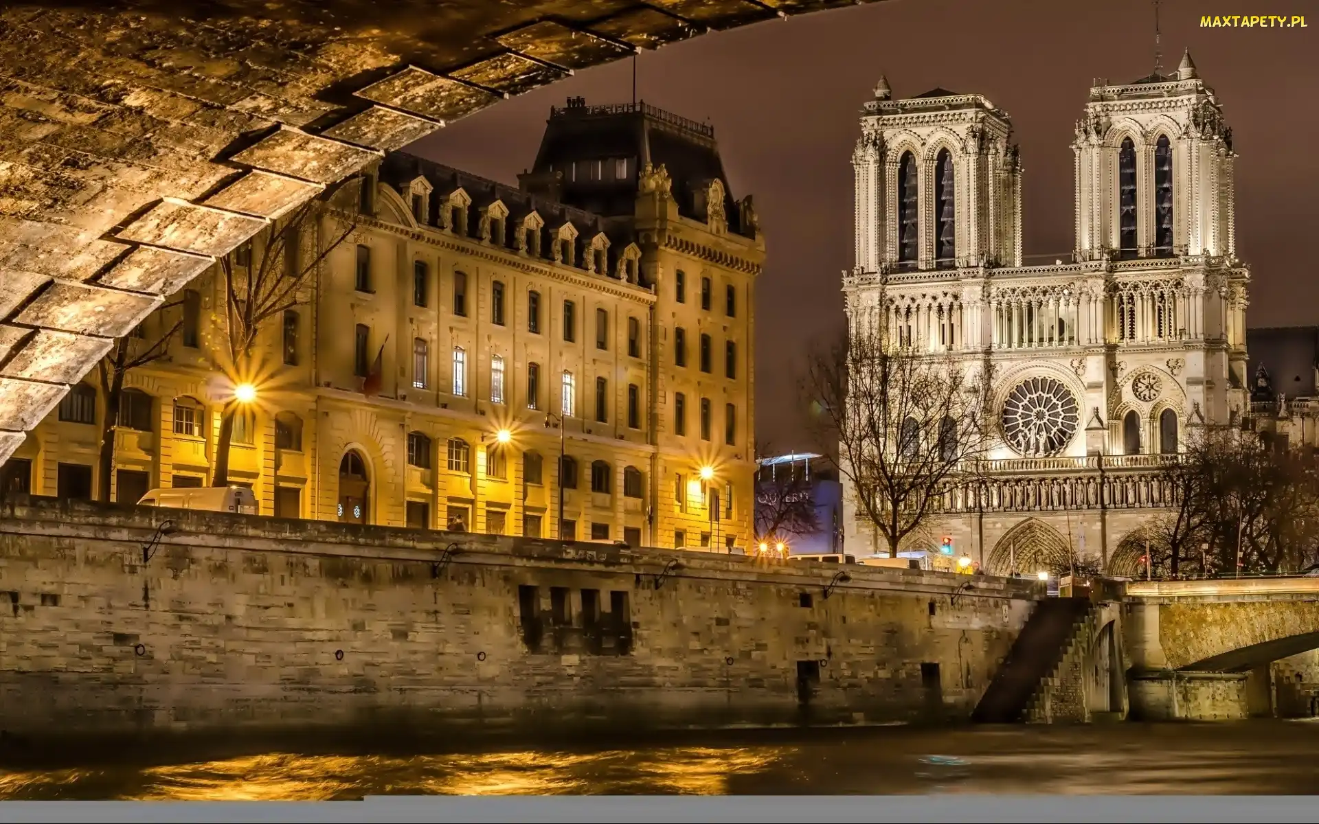 Notre Dame, Katedra, Latarnie, Francja, Noc, Paryż