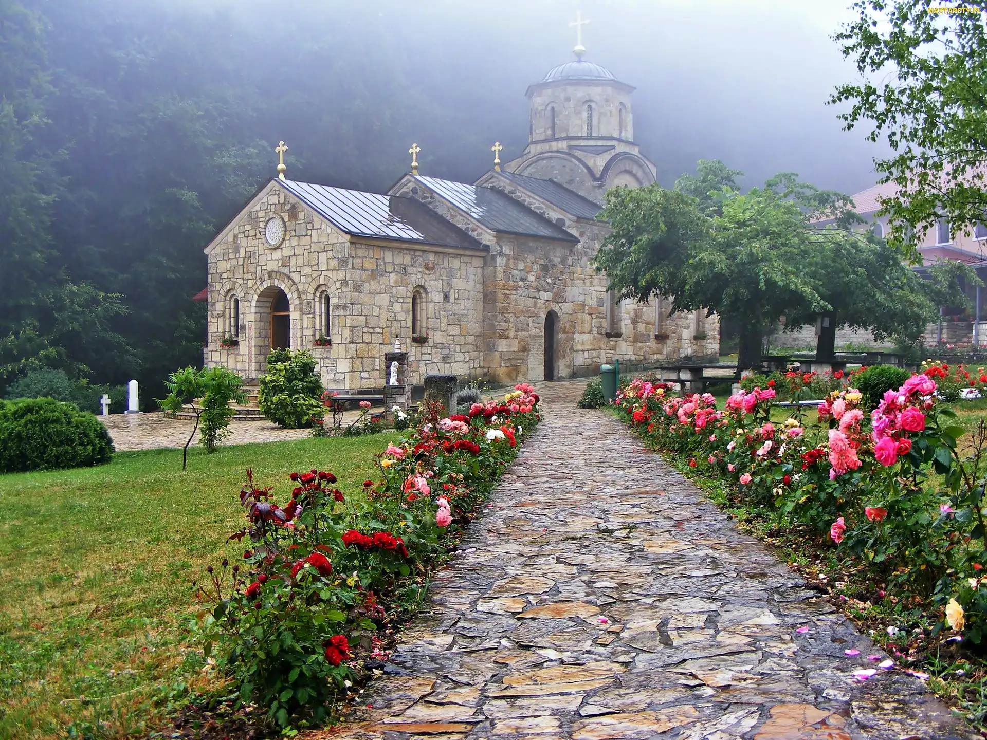 Aleja, Mgła, Drzewa, Róże, Cerkiew