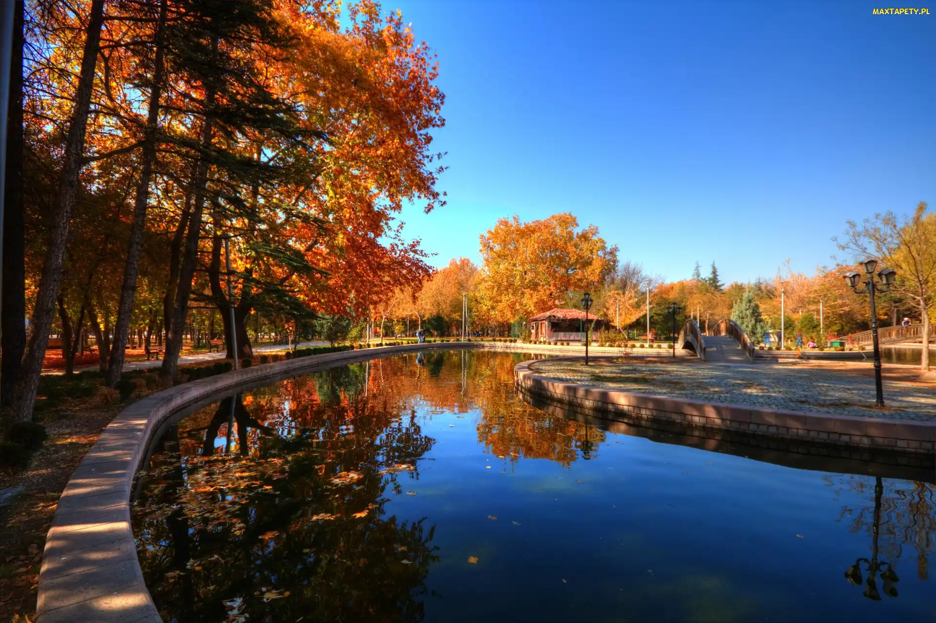 Jesień, Drzewa, Park