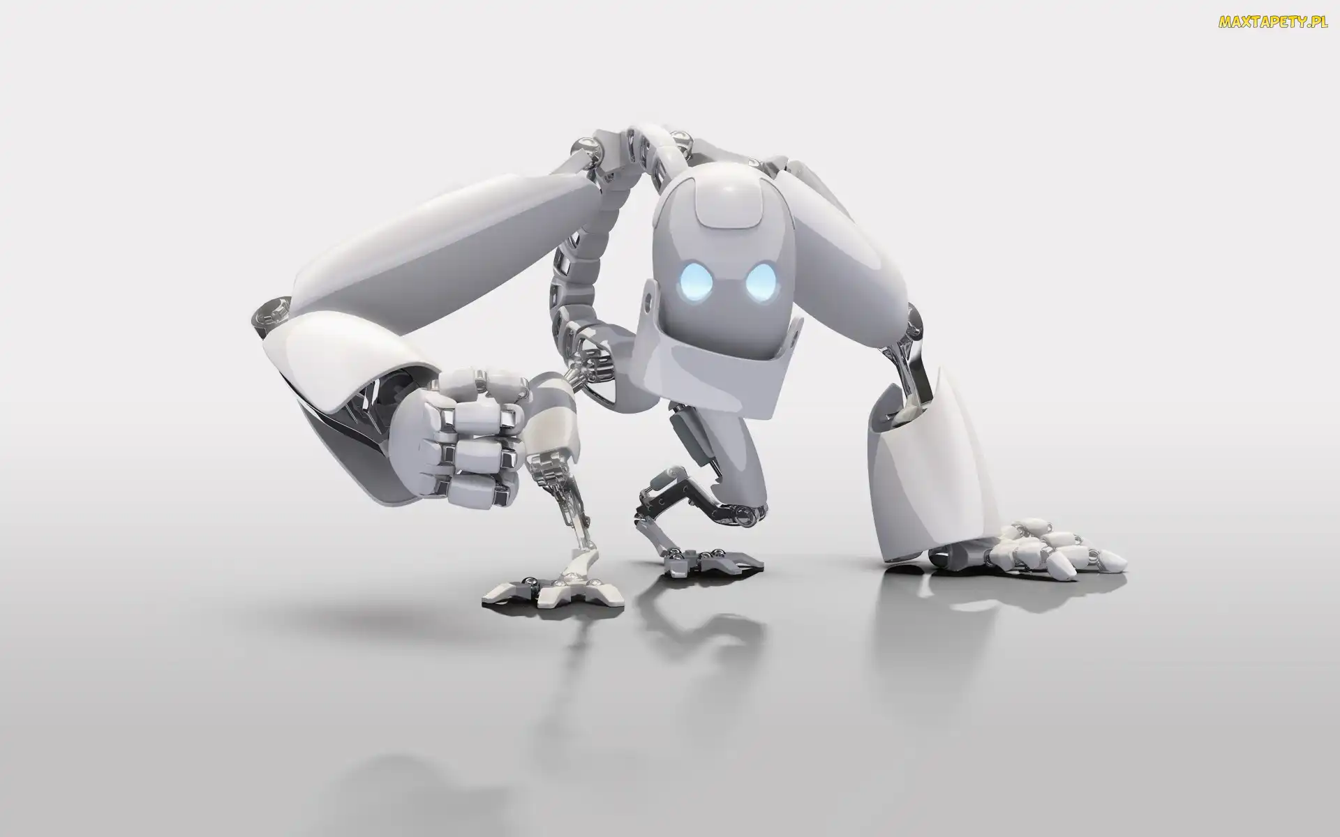 Robot, 3D, Biały