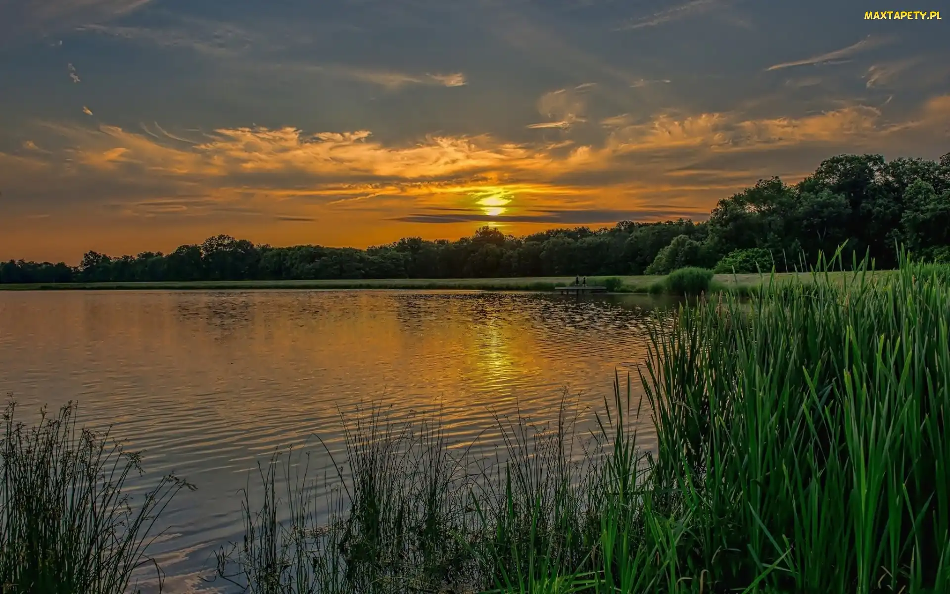 Wschód Słońca, Szuwary, Jezioro