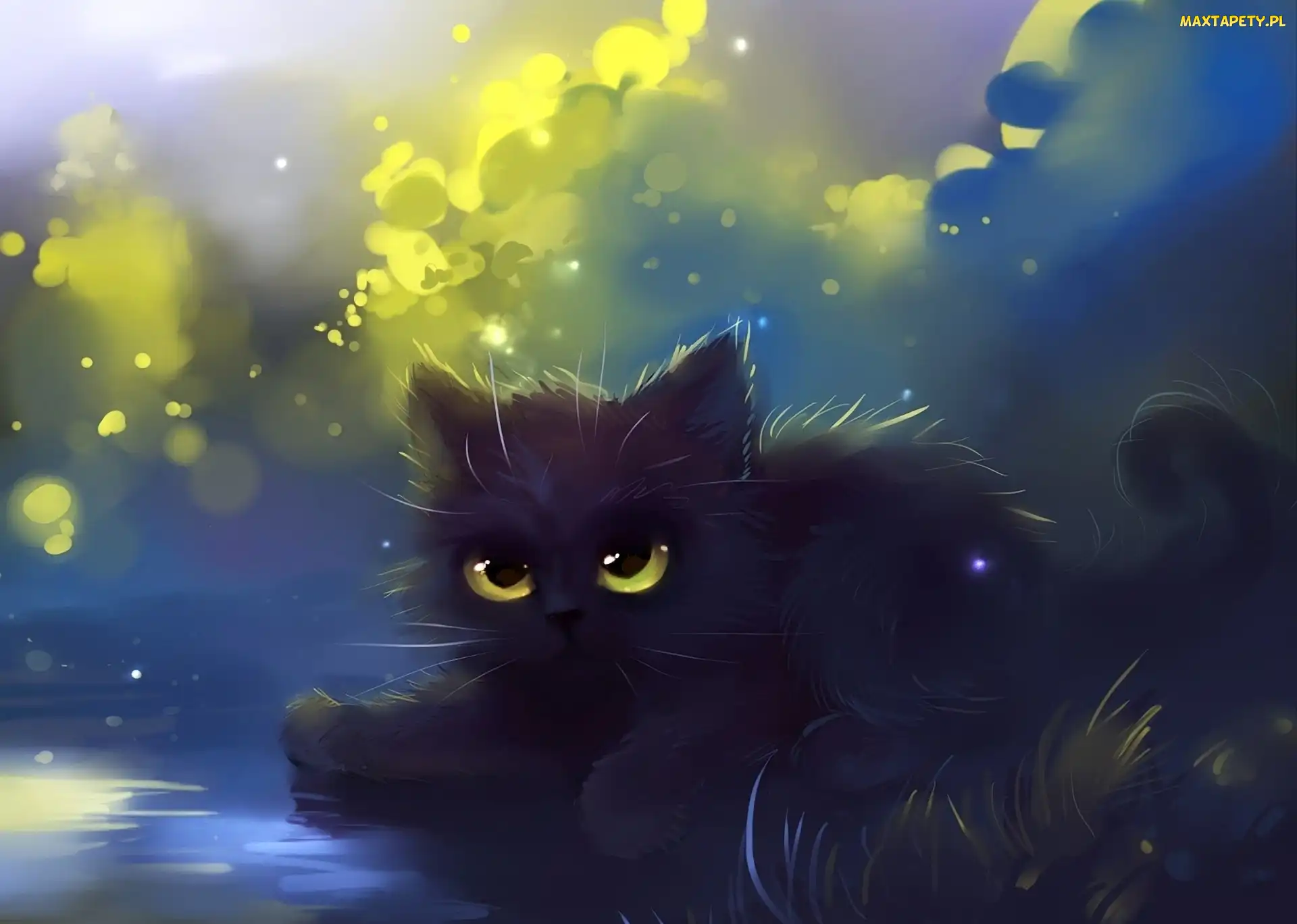 Kot, Fantasy