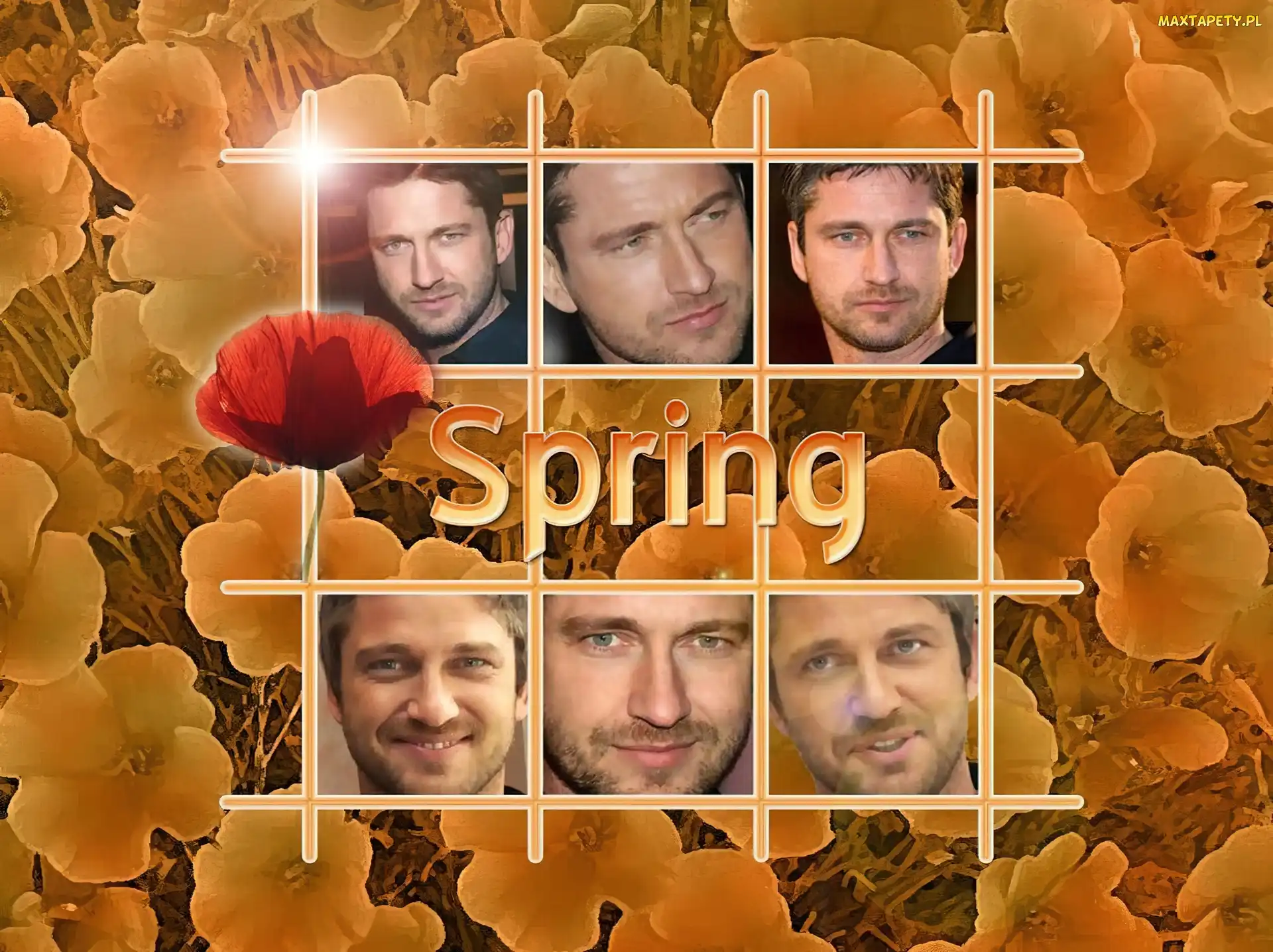 spring, kwiatki, Gerard Butler