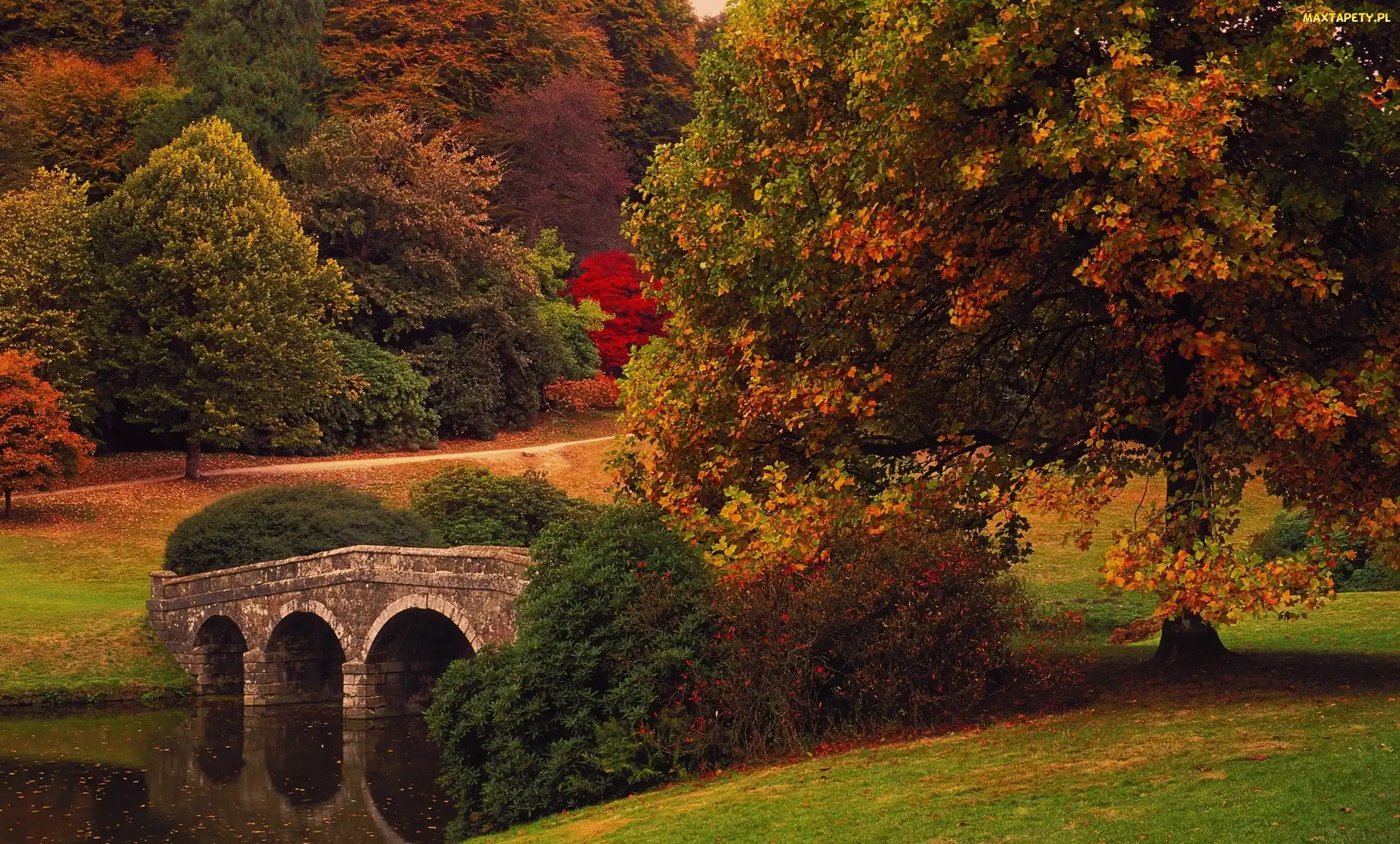 Rzeka, Jesień, Drzewa, Most, Park
