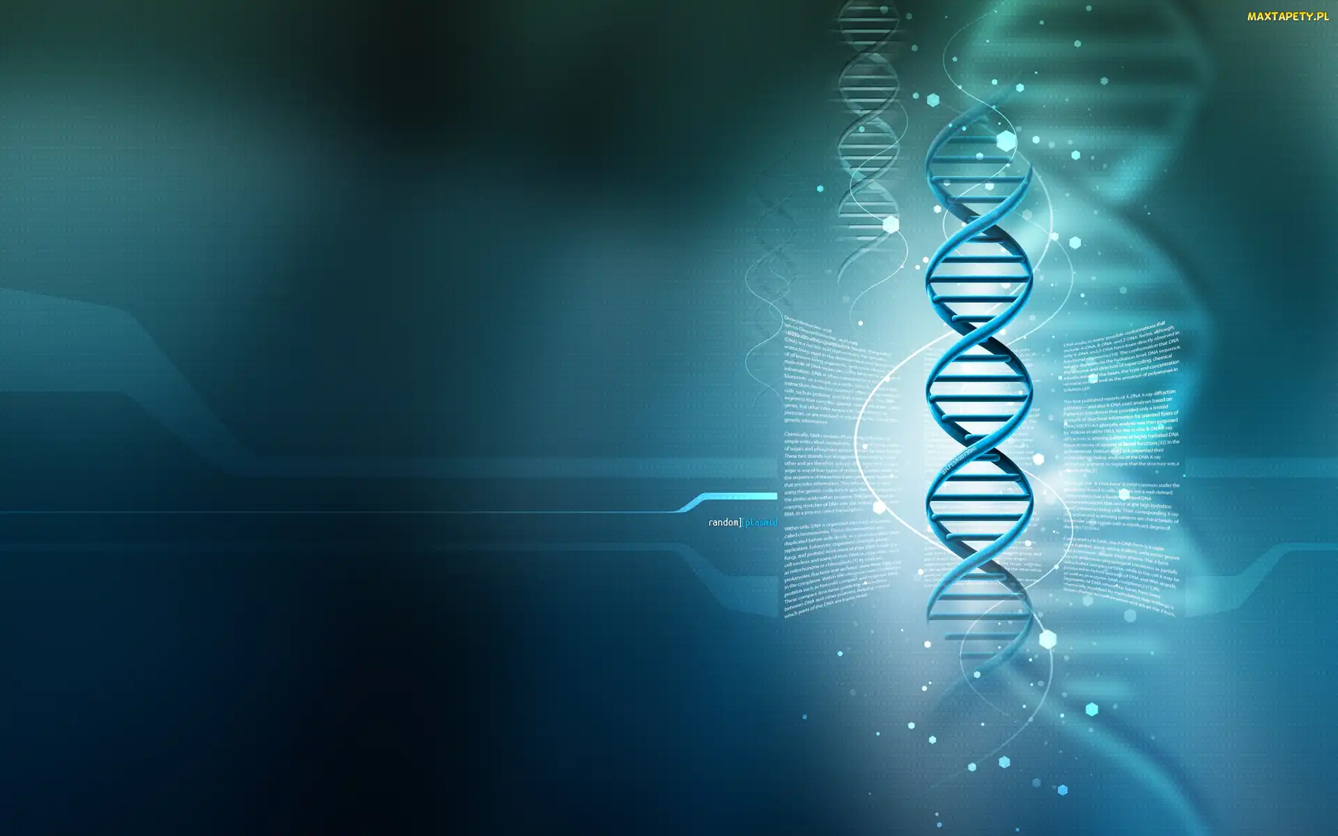 DNA, 3D, Łańcuch