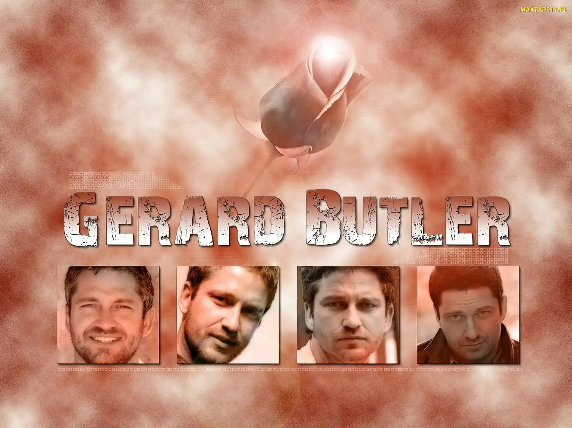 twarze, kwiat, Gerard Butler