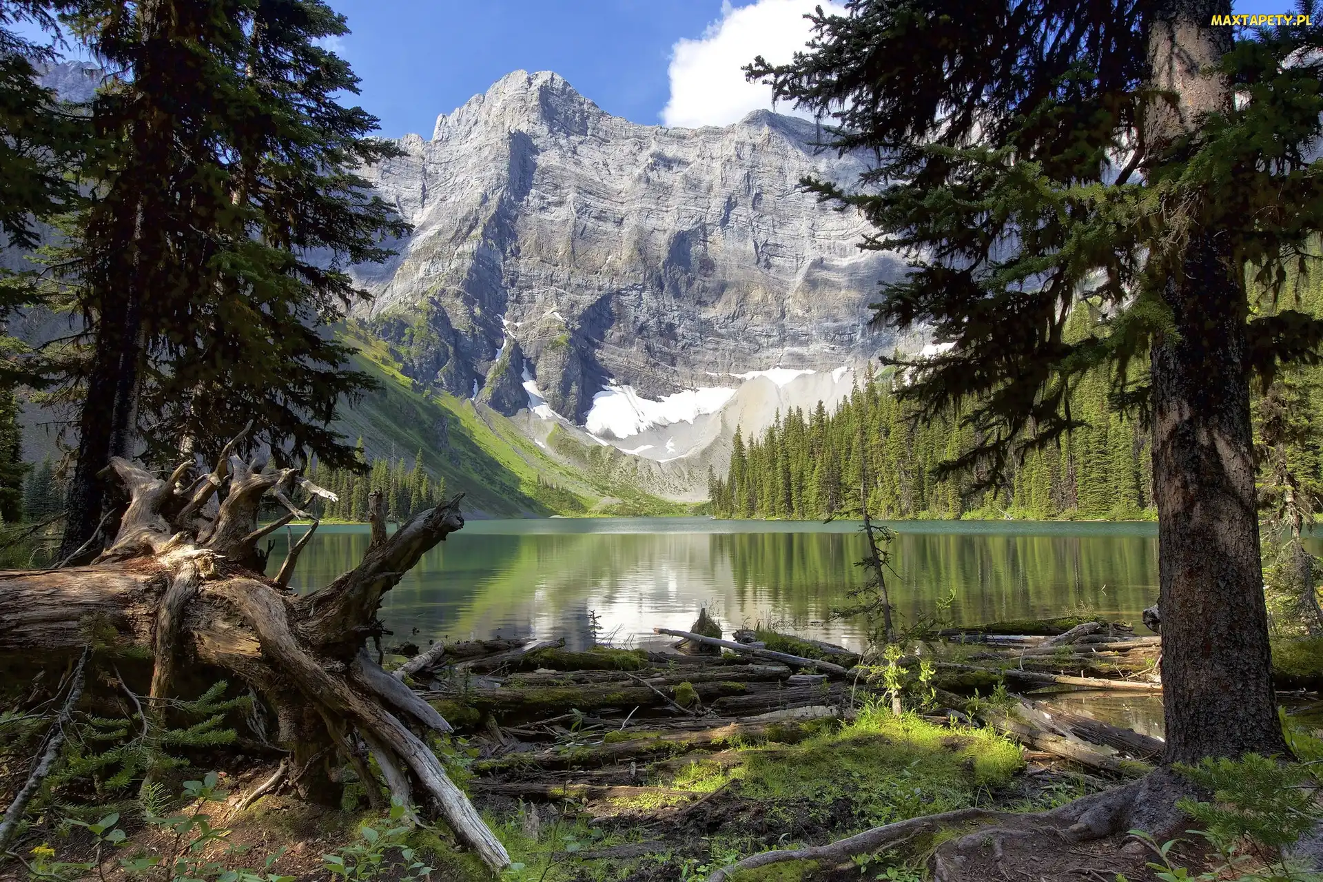 Jezioro Rawson, Alberta, Drzewa, Góry, Lasy, Kanada