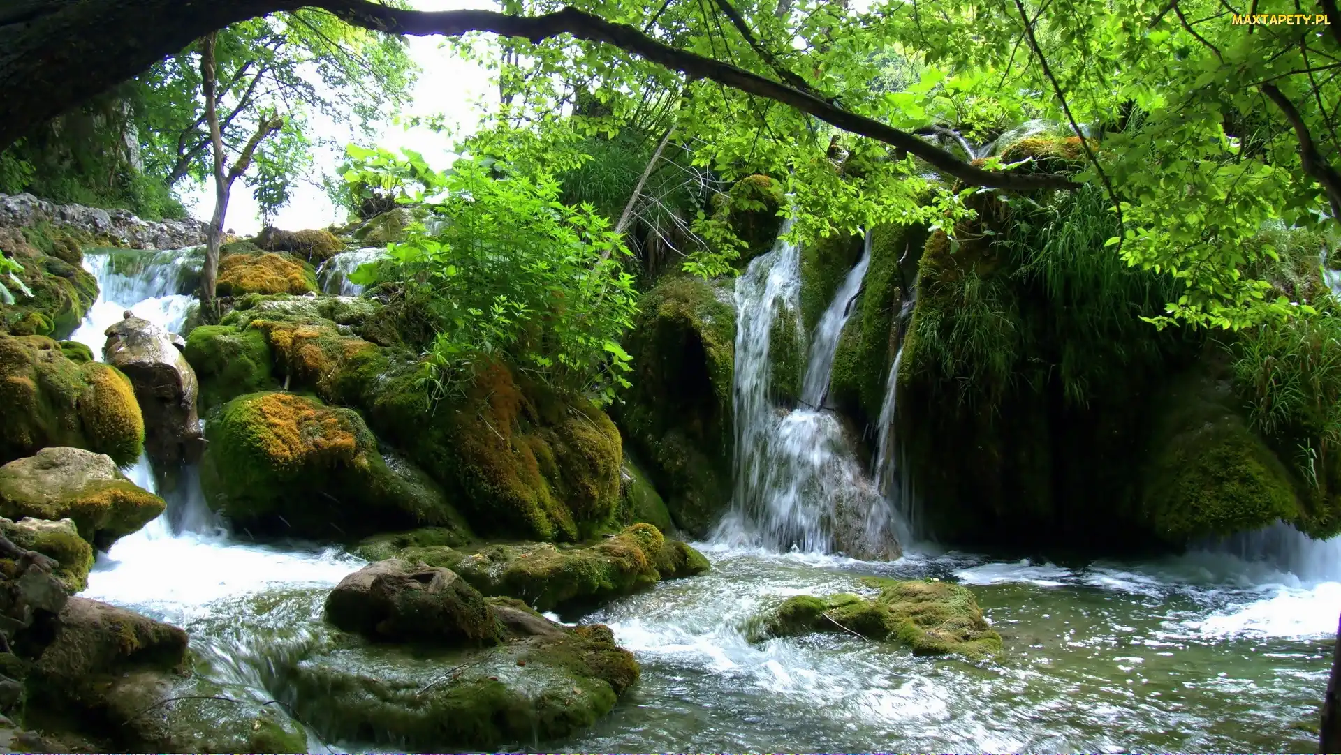 Plitvice, Drzewa, Wodospad, Skały