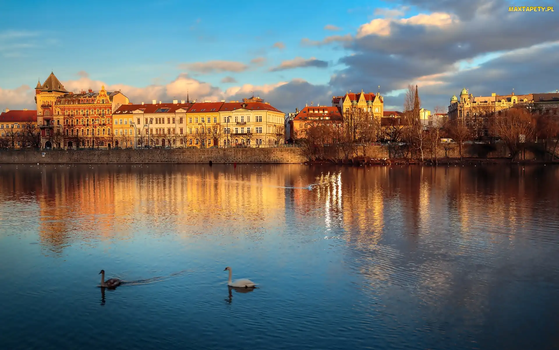 Czechy, Łabędzie, Rzeka, Praga