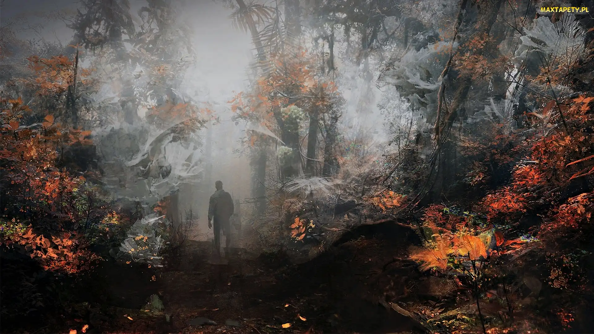 Mgła, Las, Fantasy, Mężczyzna