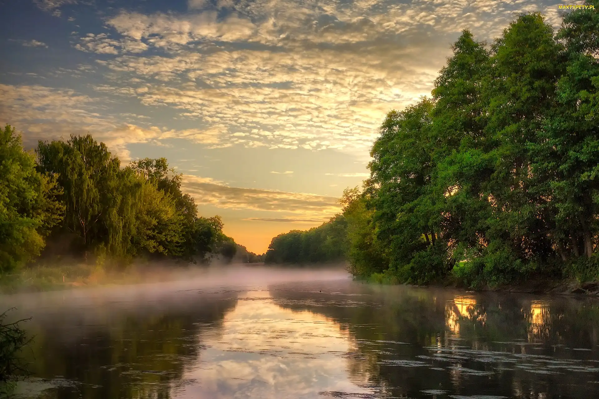 Rzeka, Drzewa, Słońca, Mgła, Zachód