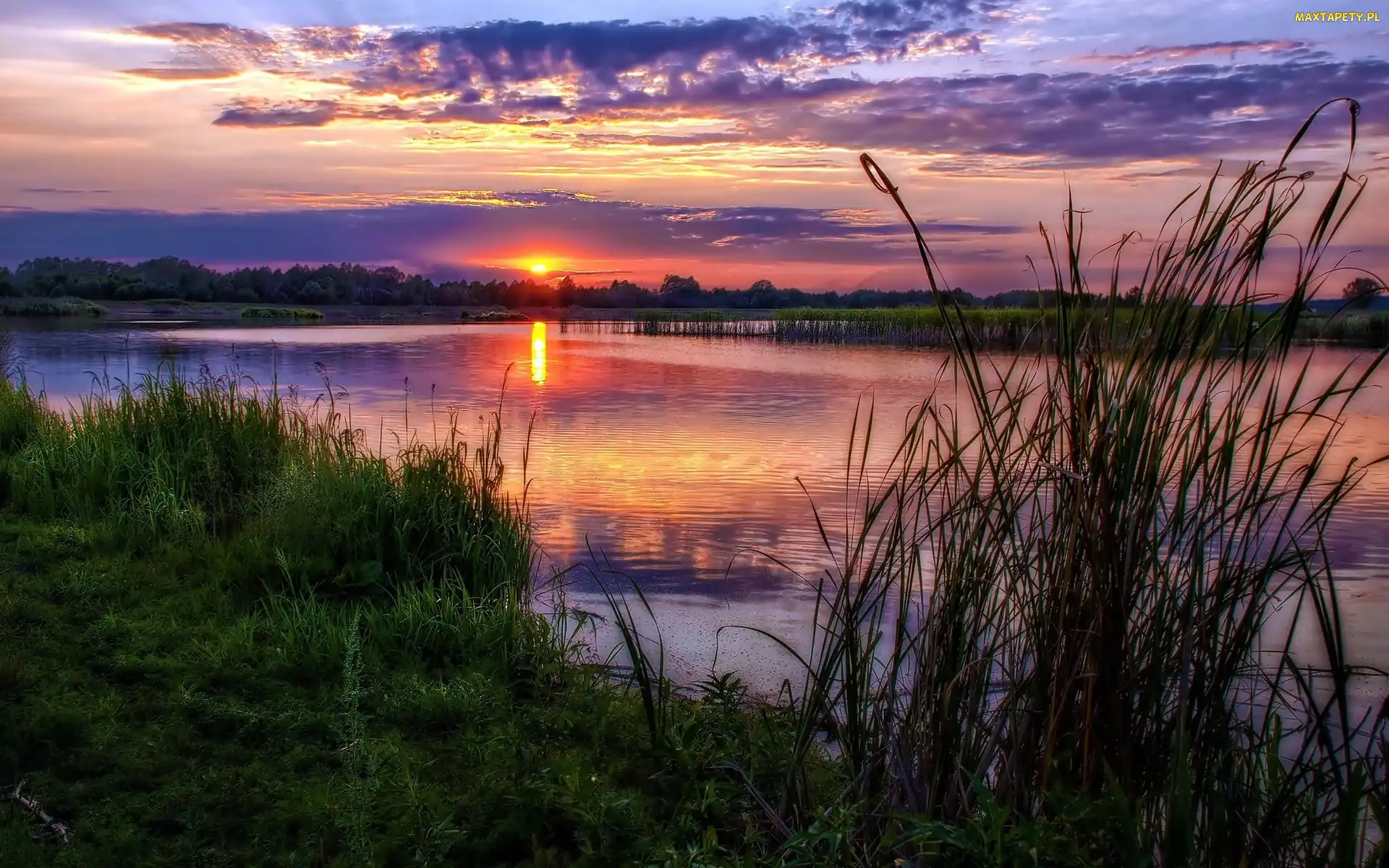Słońca, Zachód, Trawy, Rzeka, Ścieżka, Lasy