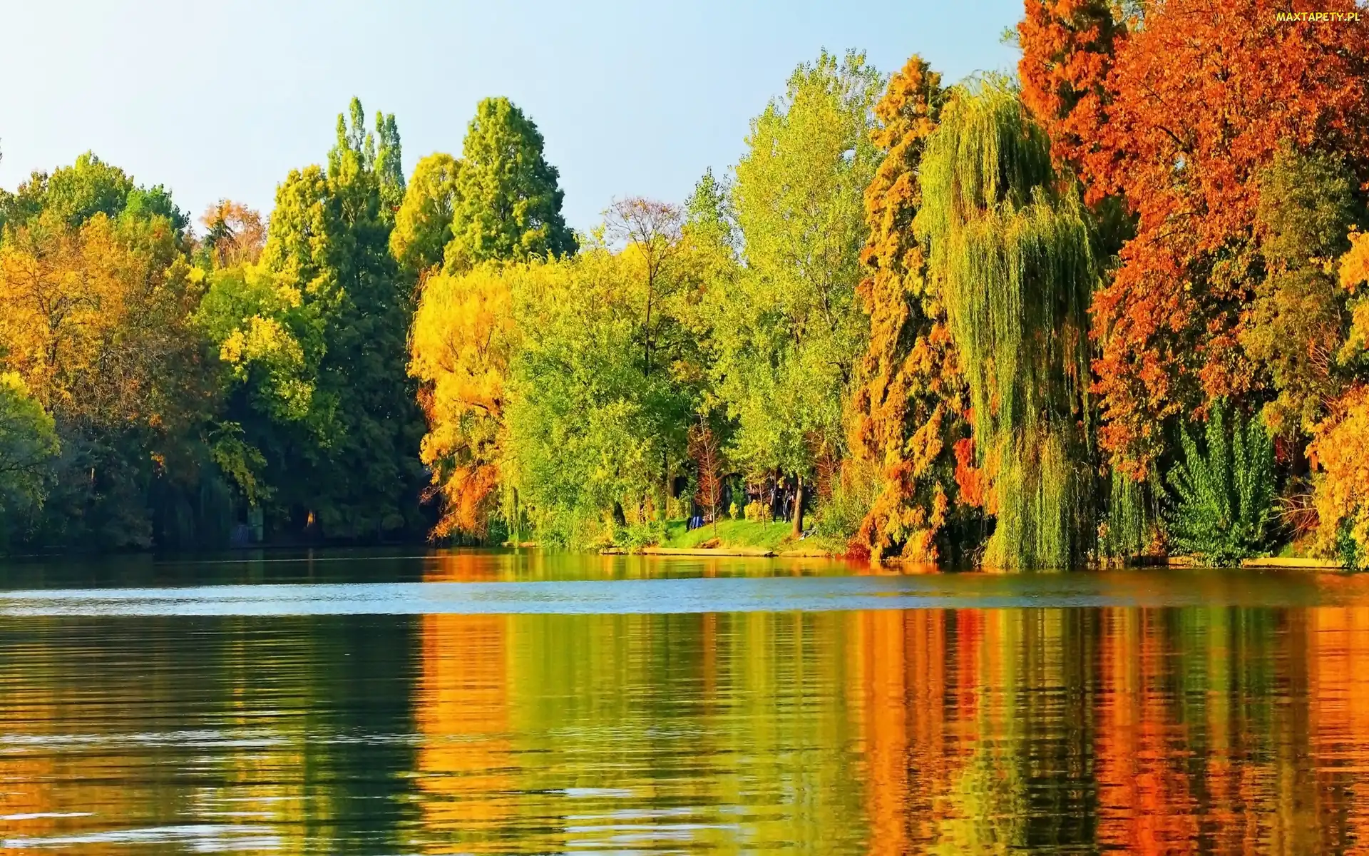 Jesień, Drzewa, Park, Staw