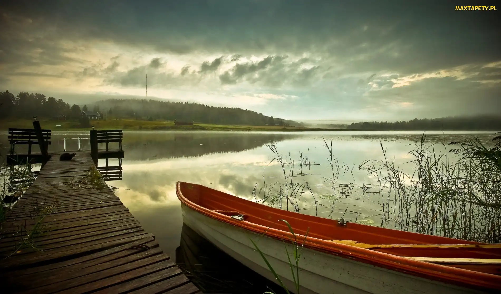 Jezioro, Łódź, Kot, Pomost