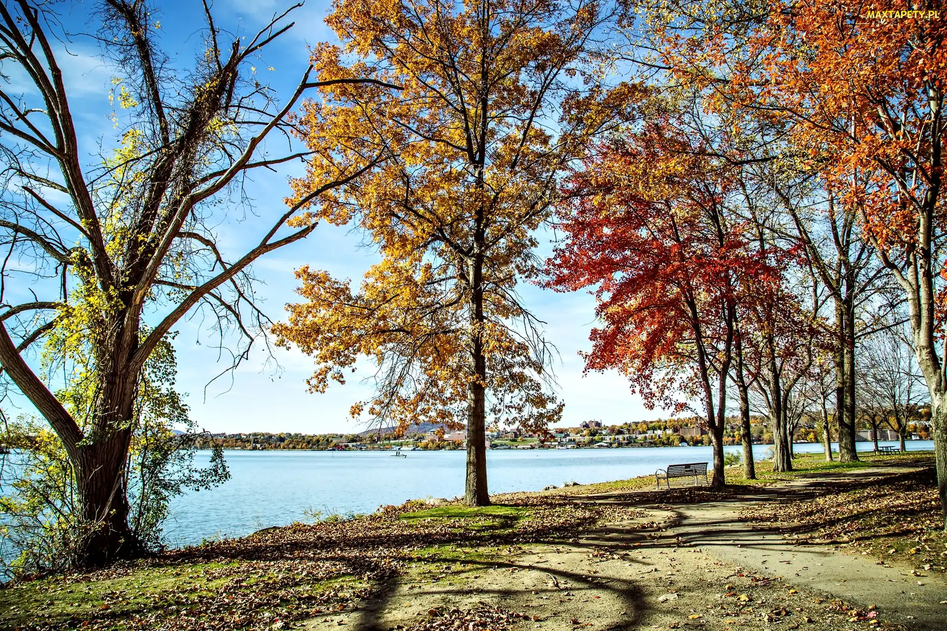 Park, Krajobraz, Jezioro, Kolorowe Drzewa, Jesień