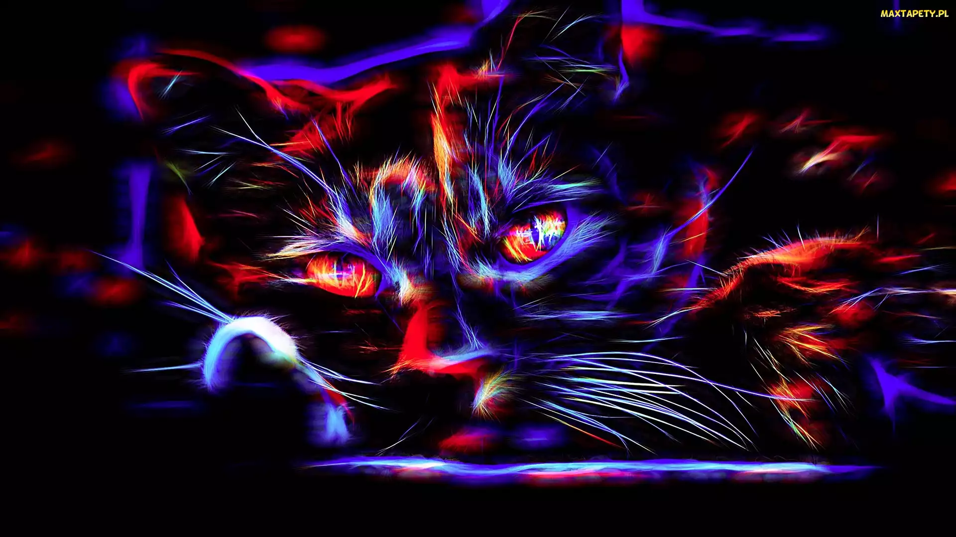 Grafika, Fractalius, Kolorowy, Kot