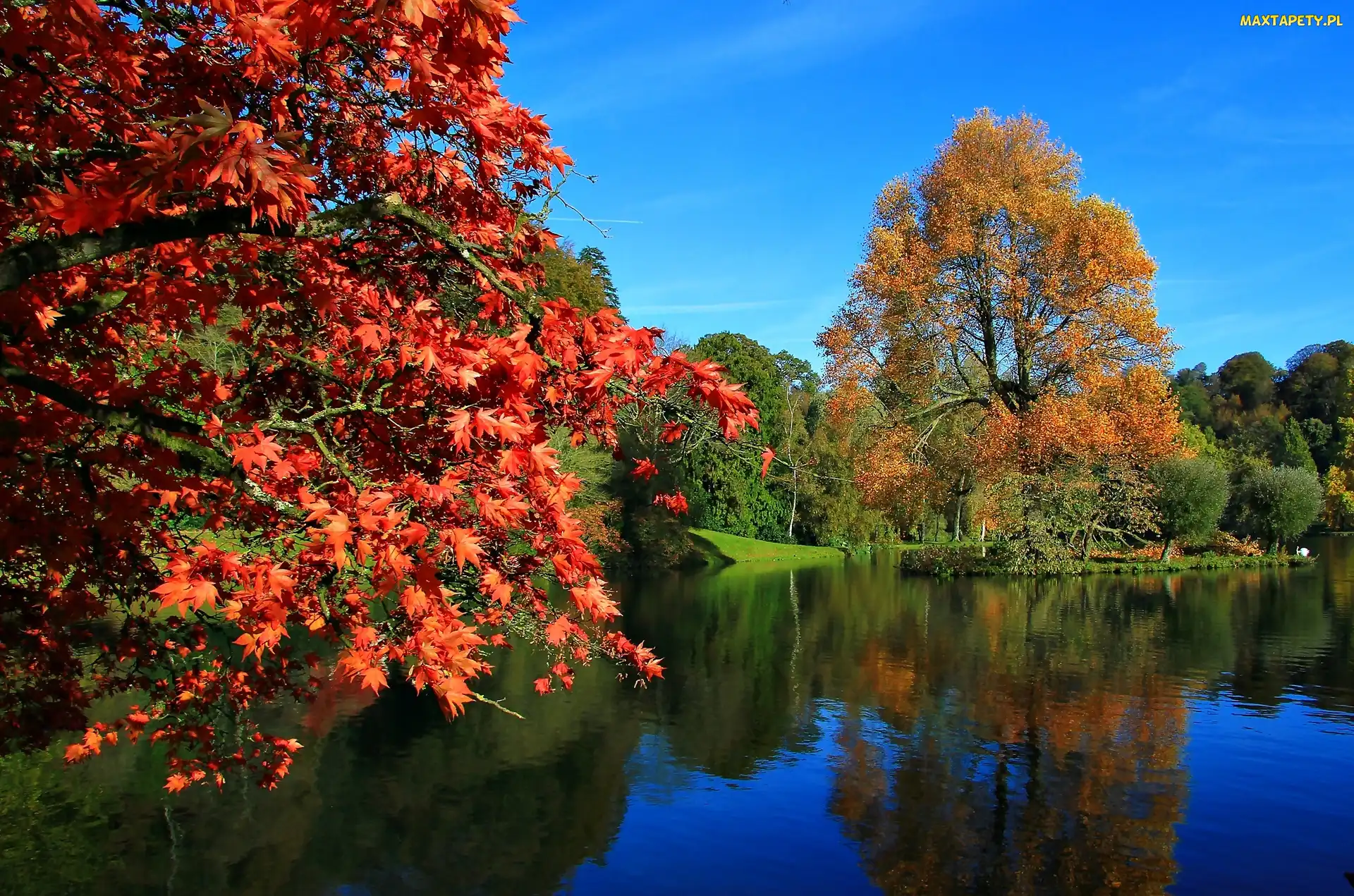 Kolorowe Drzewa, Jesień, Park, Staw
