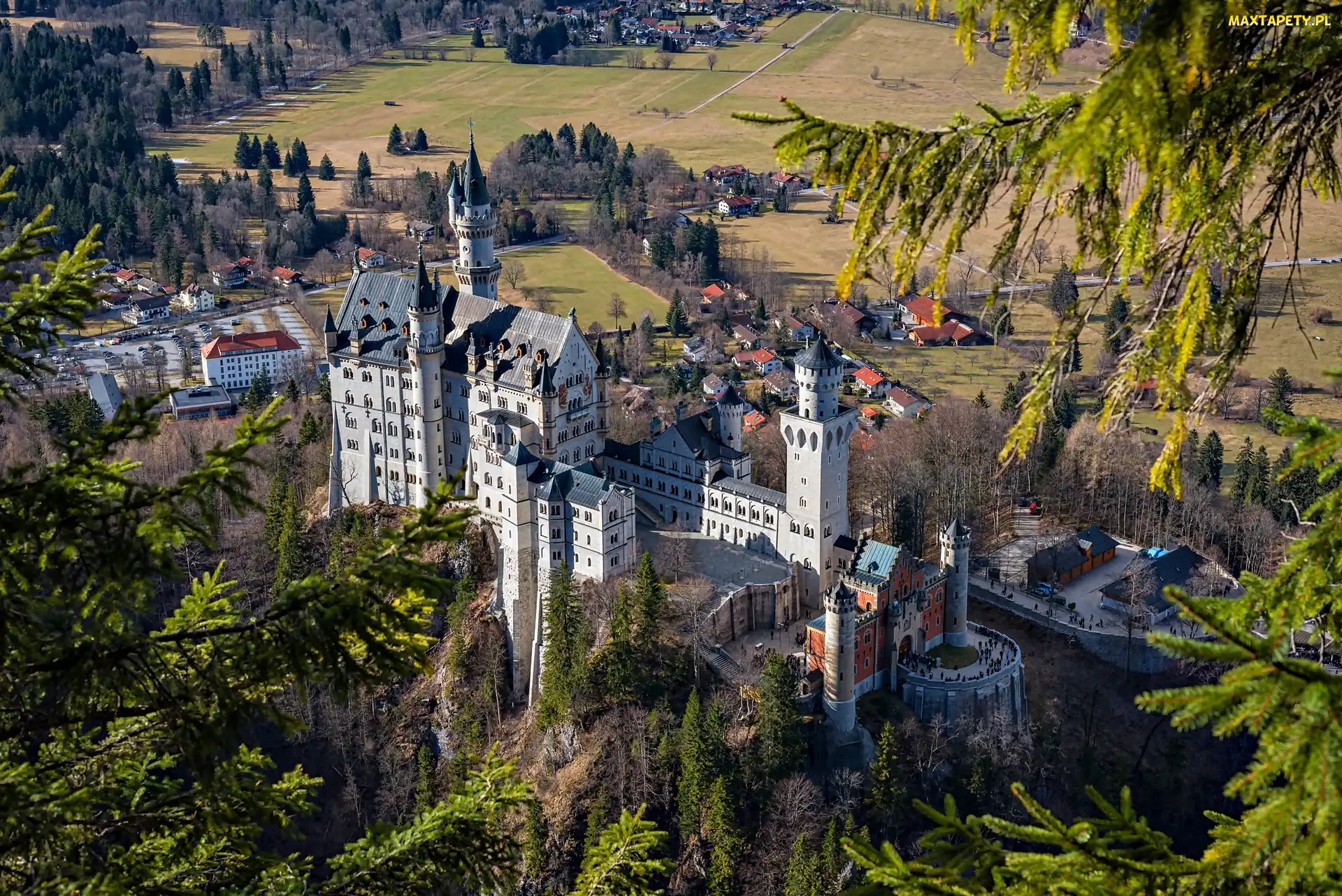 Niemcy, Lasy, Zamek Neuschwanstein, Bawaria