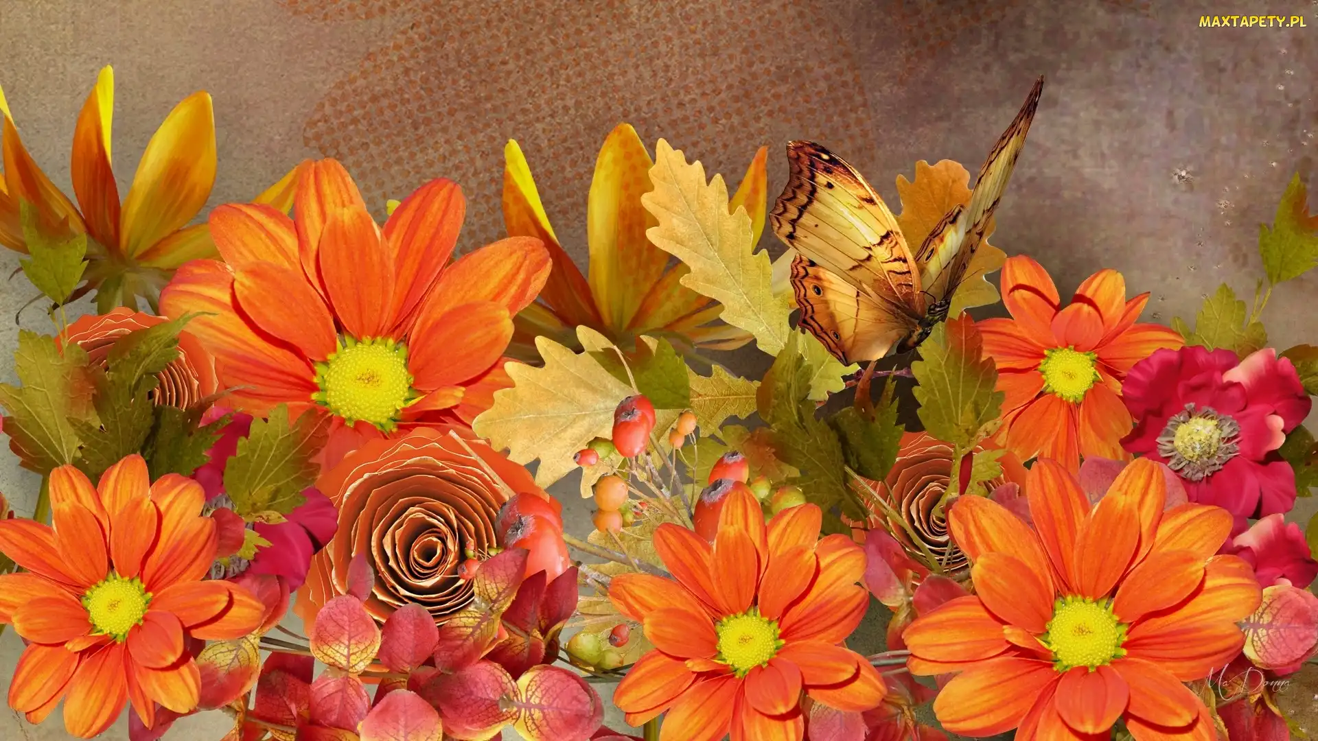 Liście, Motyl, Kwiaty