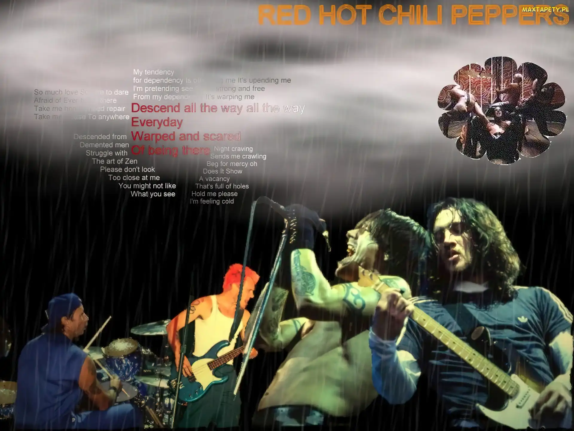 Red Hot Chili Peppers, koncert, zespół