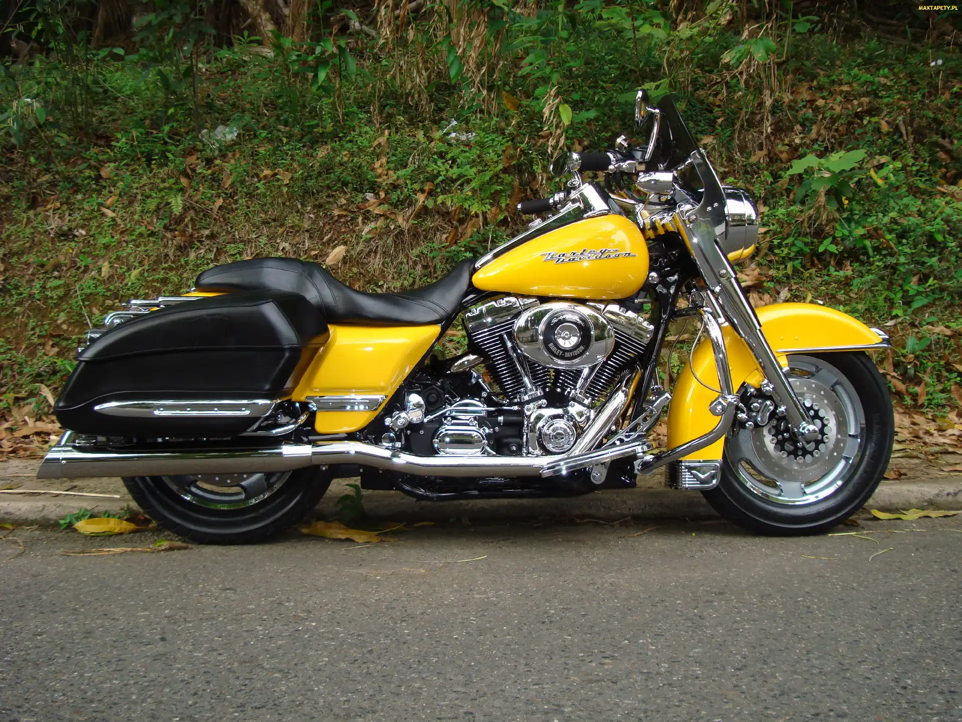 Harley- Davidson, Motocykl