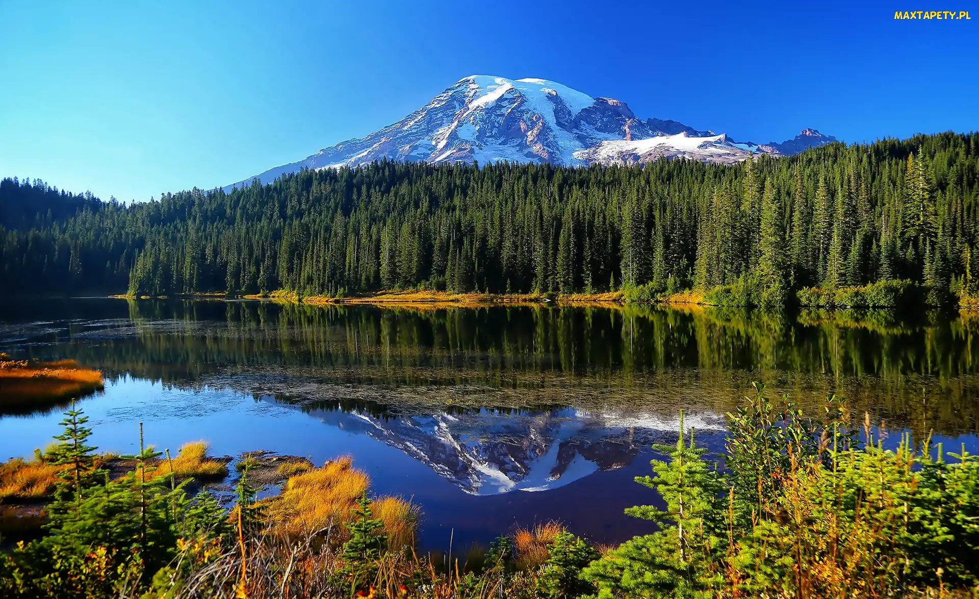Jezioro, Las, Stan Waszyngton, Stany Zjednoczone, Park Narodowy Mount Rainier, Góry