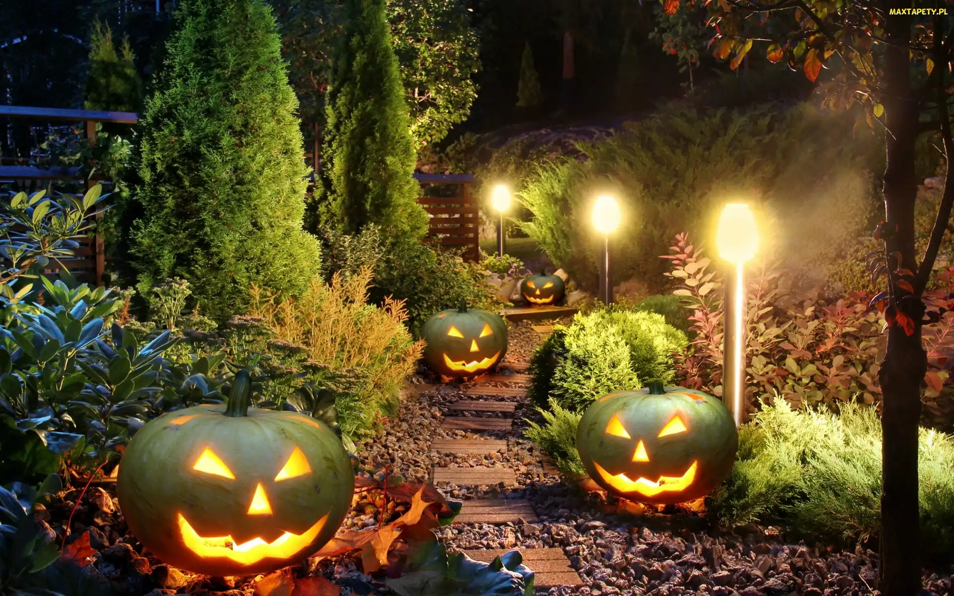 Dynie, Halloween, Świecące