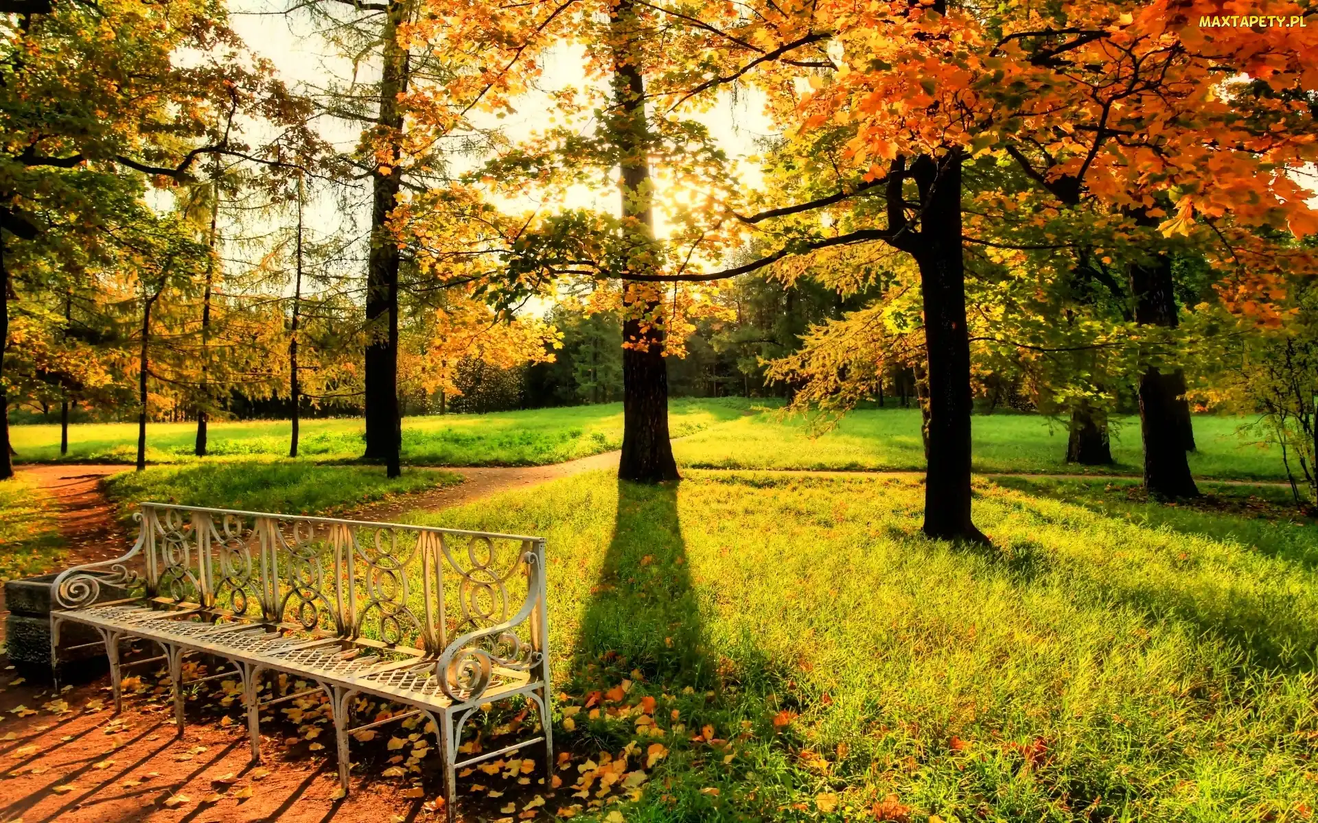 Ławeczka, Ławka, Jesień, Park