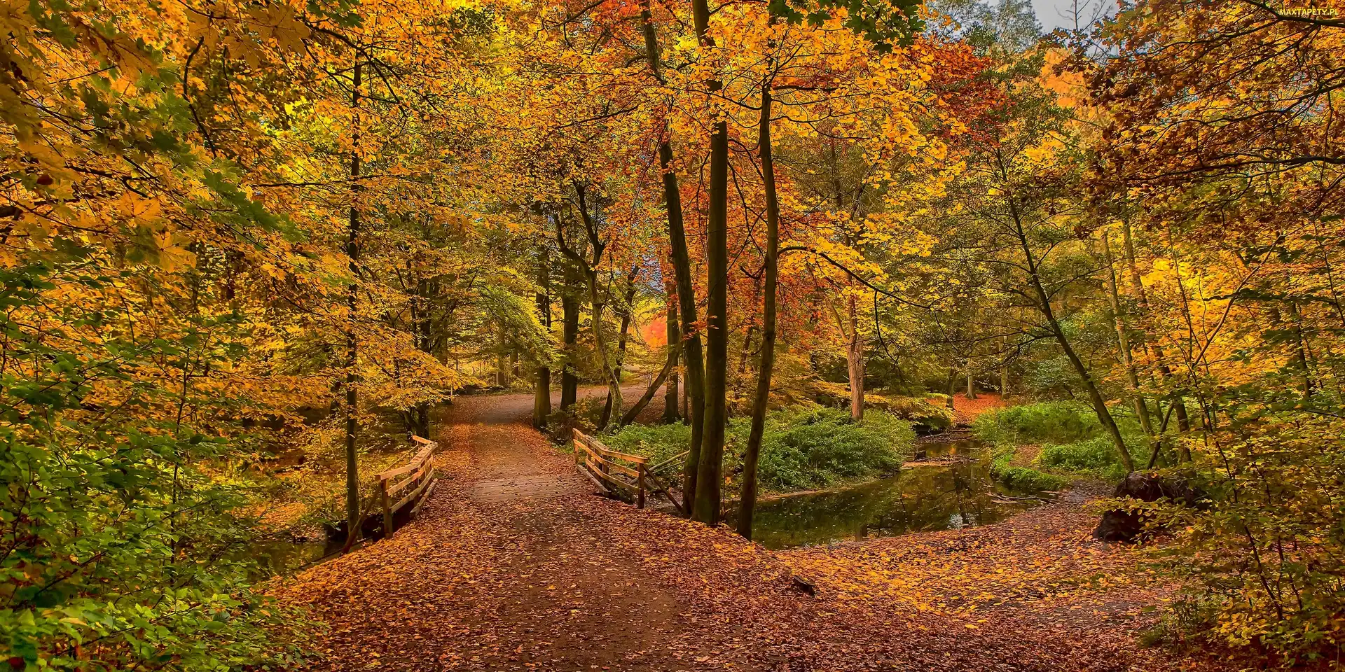 Jesień, Park