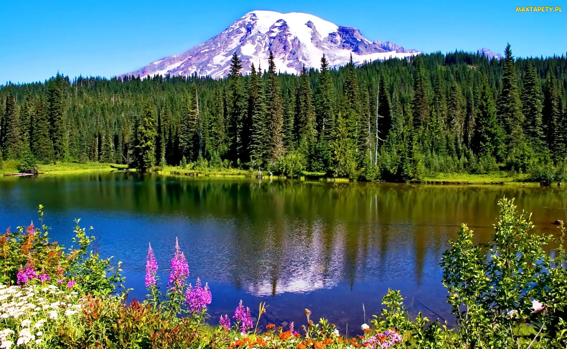 Stany Zjednoczone, Stan Waszyngton, Jezioro, Stratowulkan Mount Rainier, Góry, Park Narodowy Mount Rainier