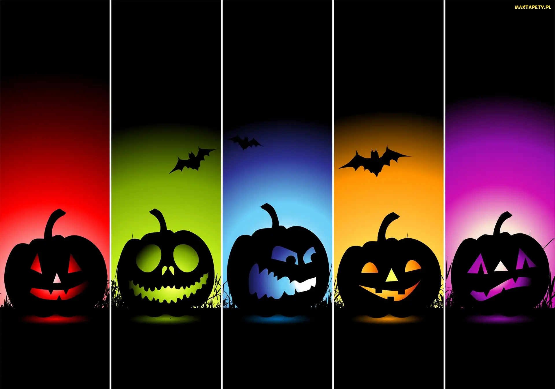 Kolorowe, Halloween, Dynie