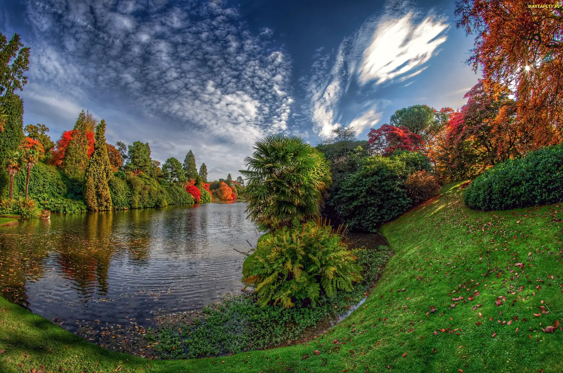 Park, Rzeka