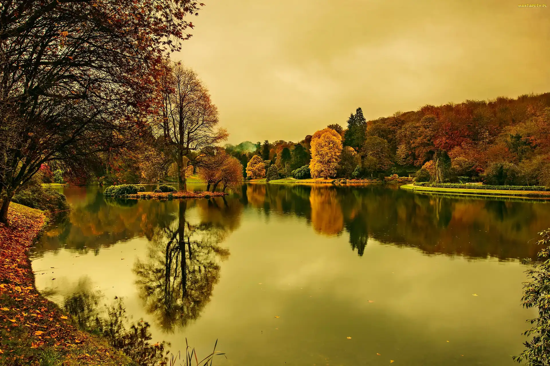Jesień, Park, Jezioro, Lasy
