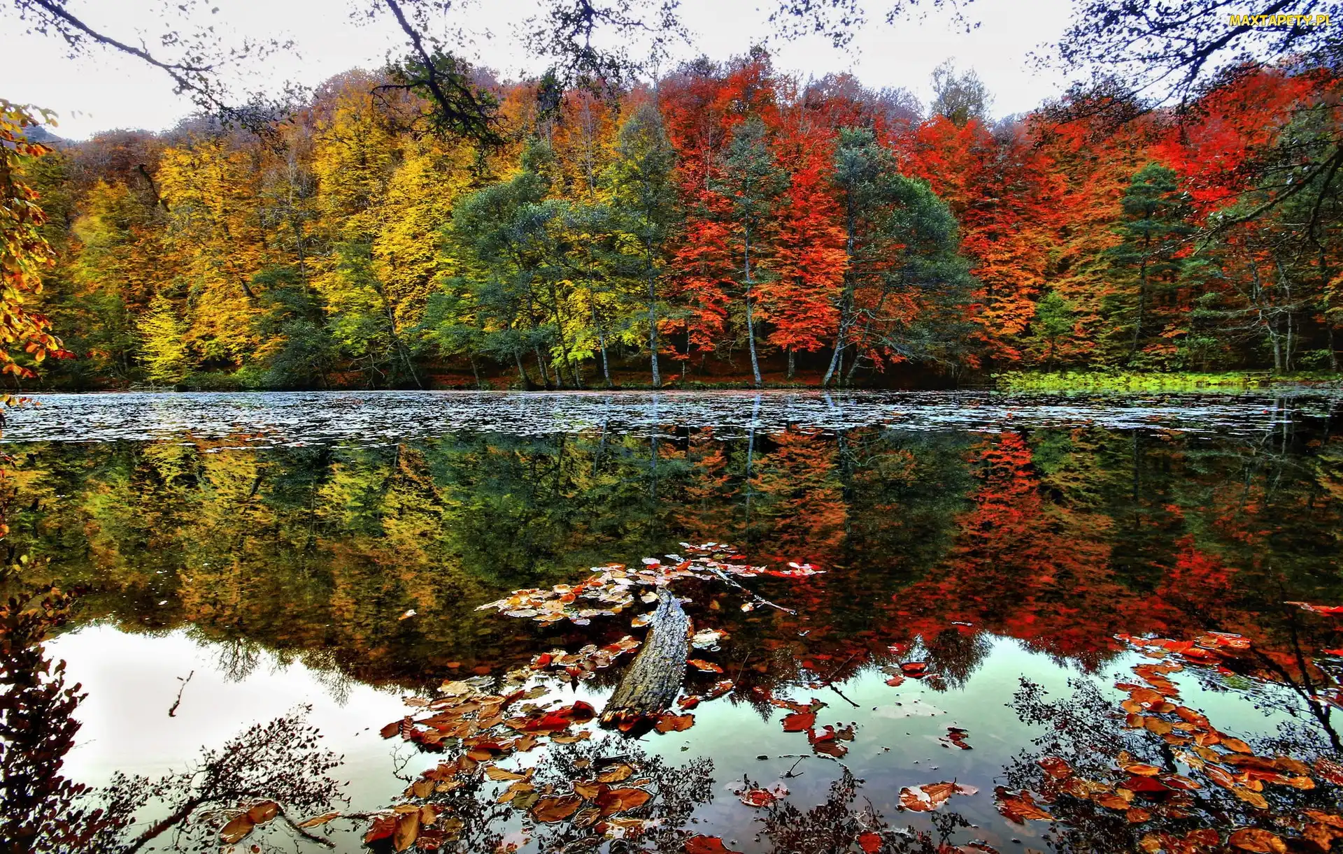 Jezioro, Odbicie