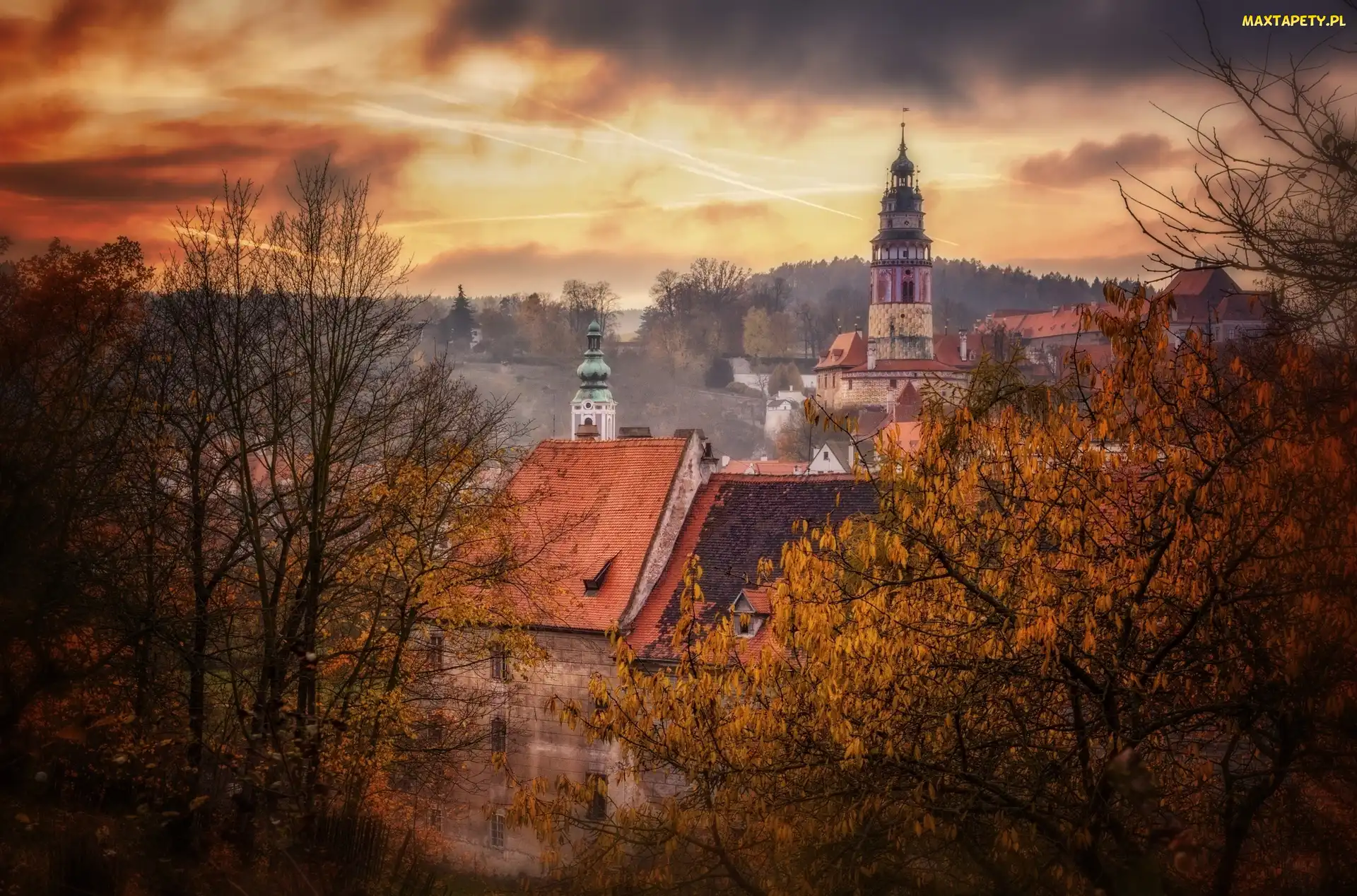 Drzewa, Kościół, Domy, Mgła, Jesień