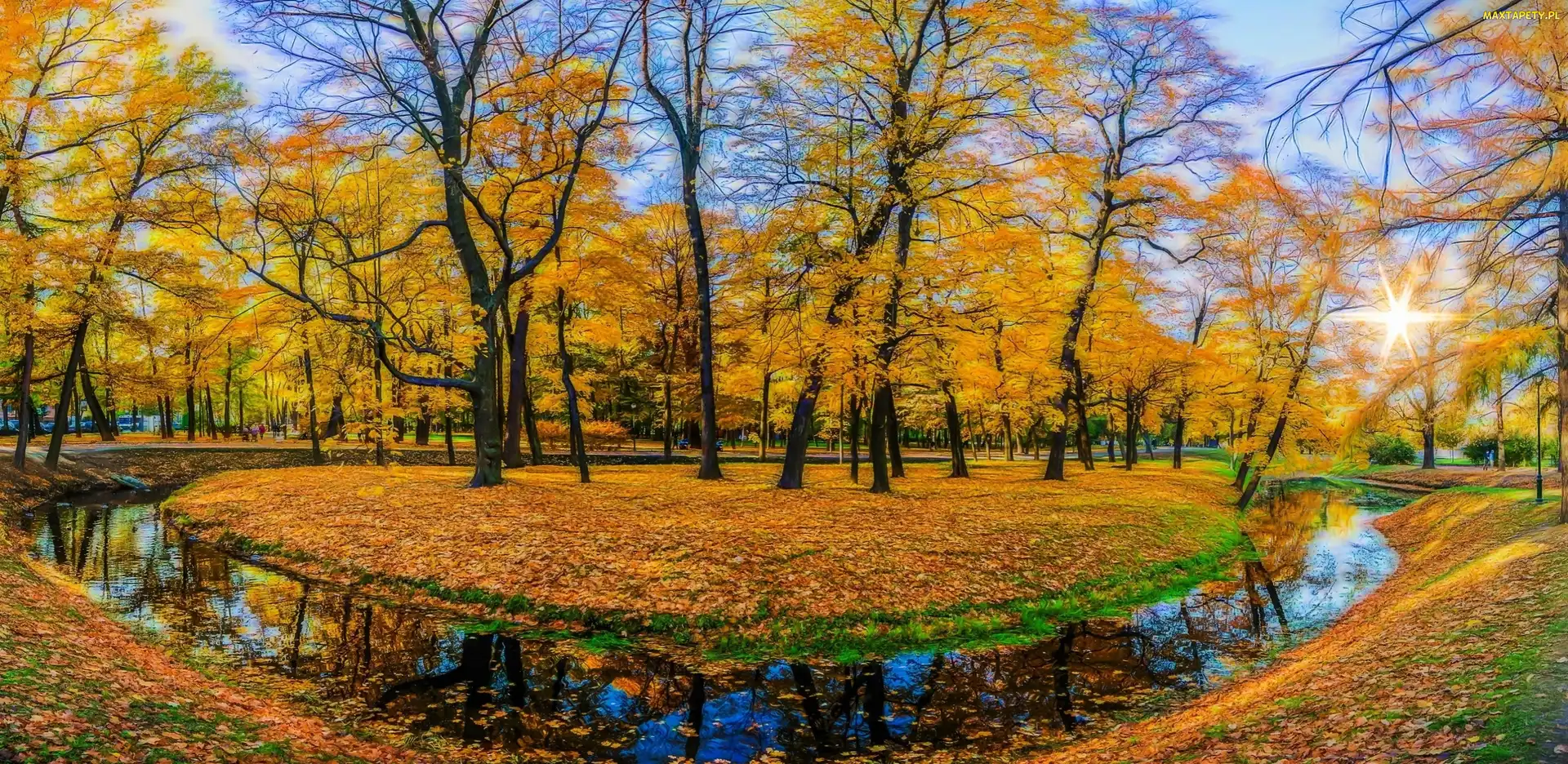 Liście, Słońca, Rzeczka, Jesień, Promienie, Park, Drzewa