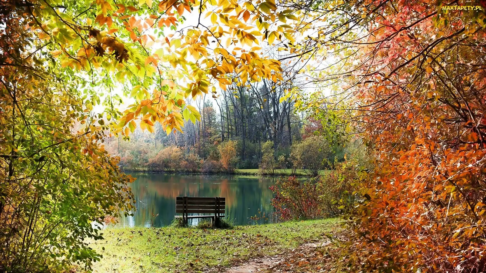Jesień, Ścieżka, Staw, Park, Drzewa, Ławka