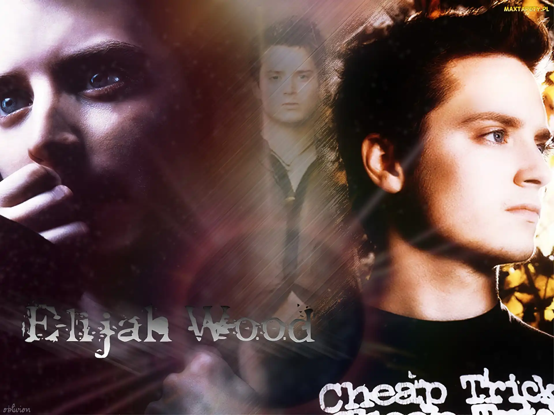 niebieskie oczy, ciemne włosy, Elijah Wood
